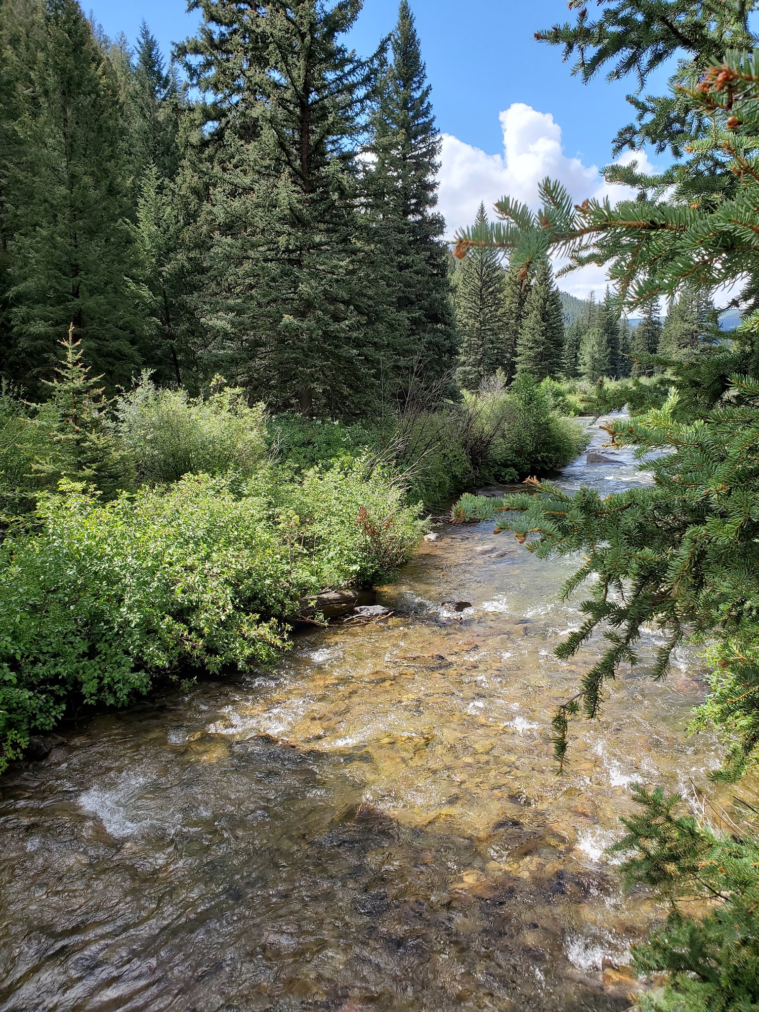 Spring Creek (Co) Camping | Camp atop a fascinating geolo...