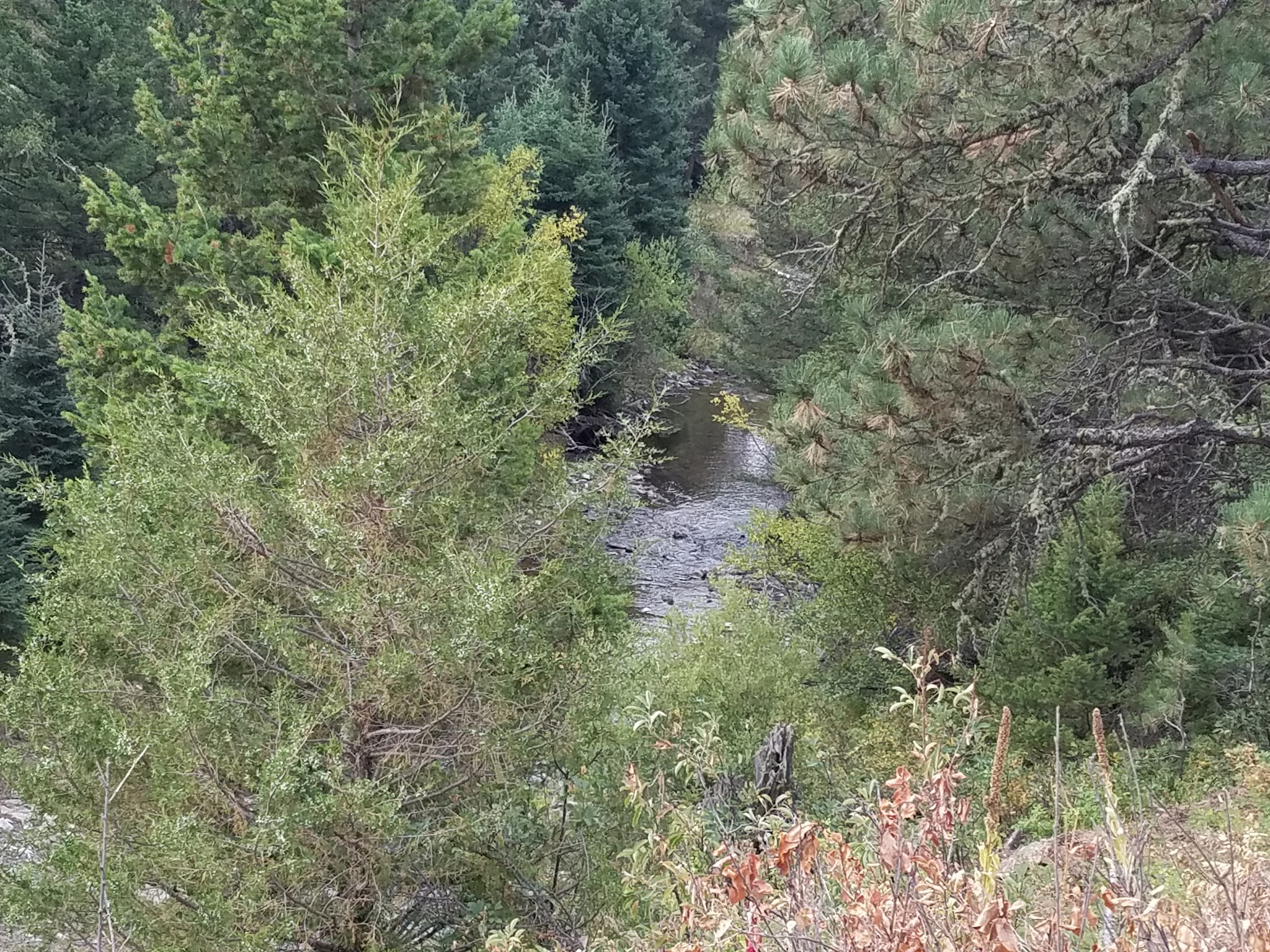 Spring Creek Campground