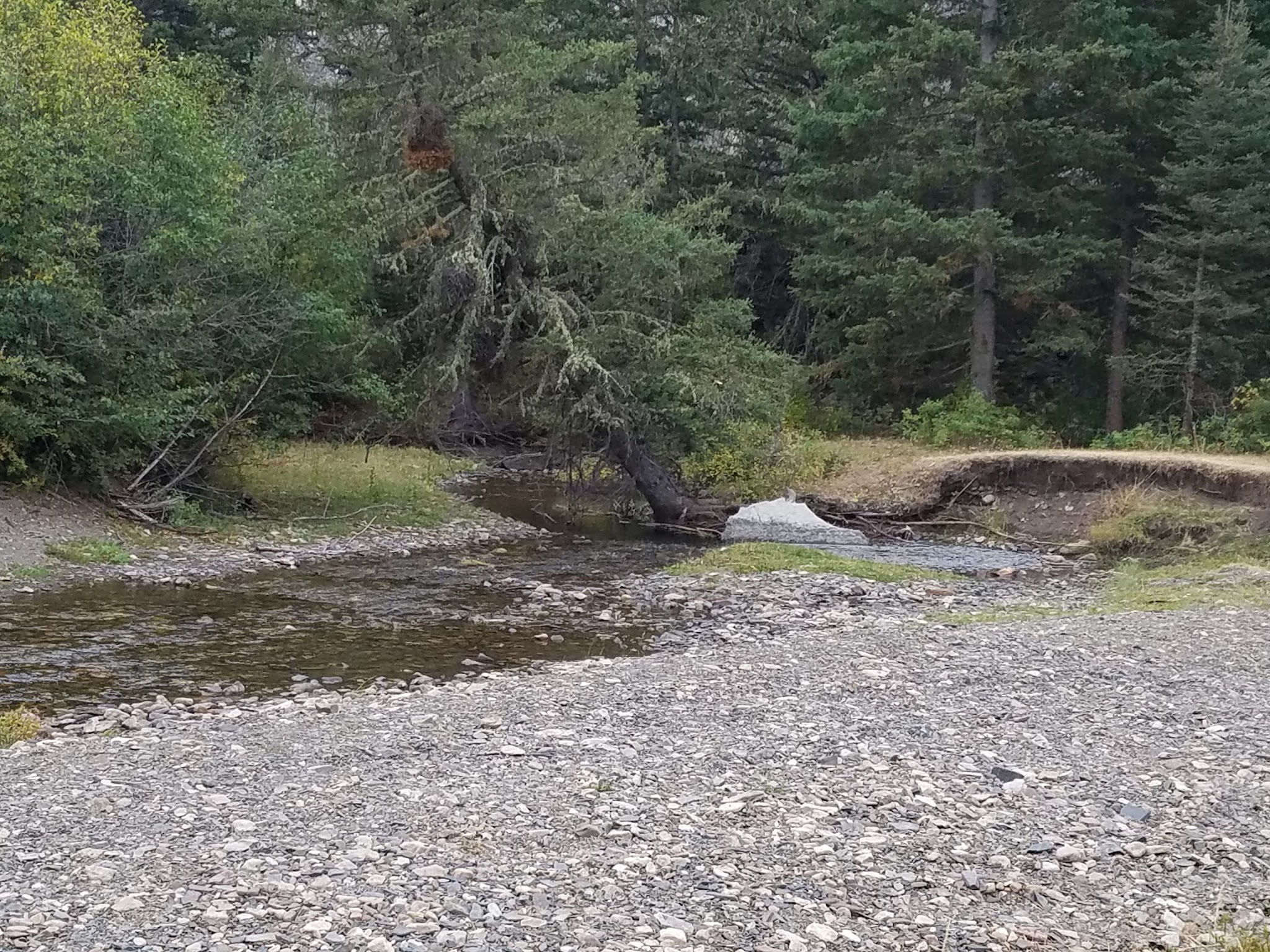 Spring Creek Campground