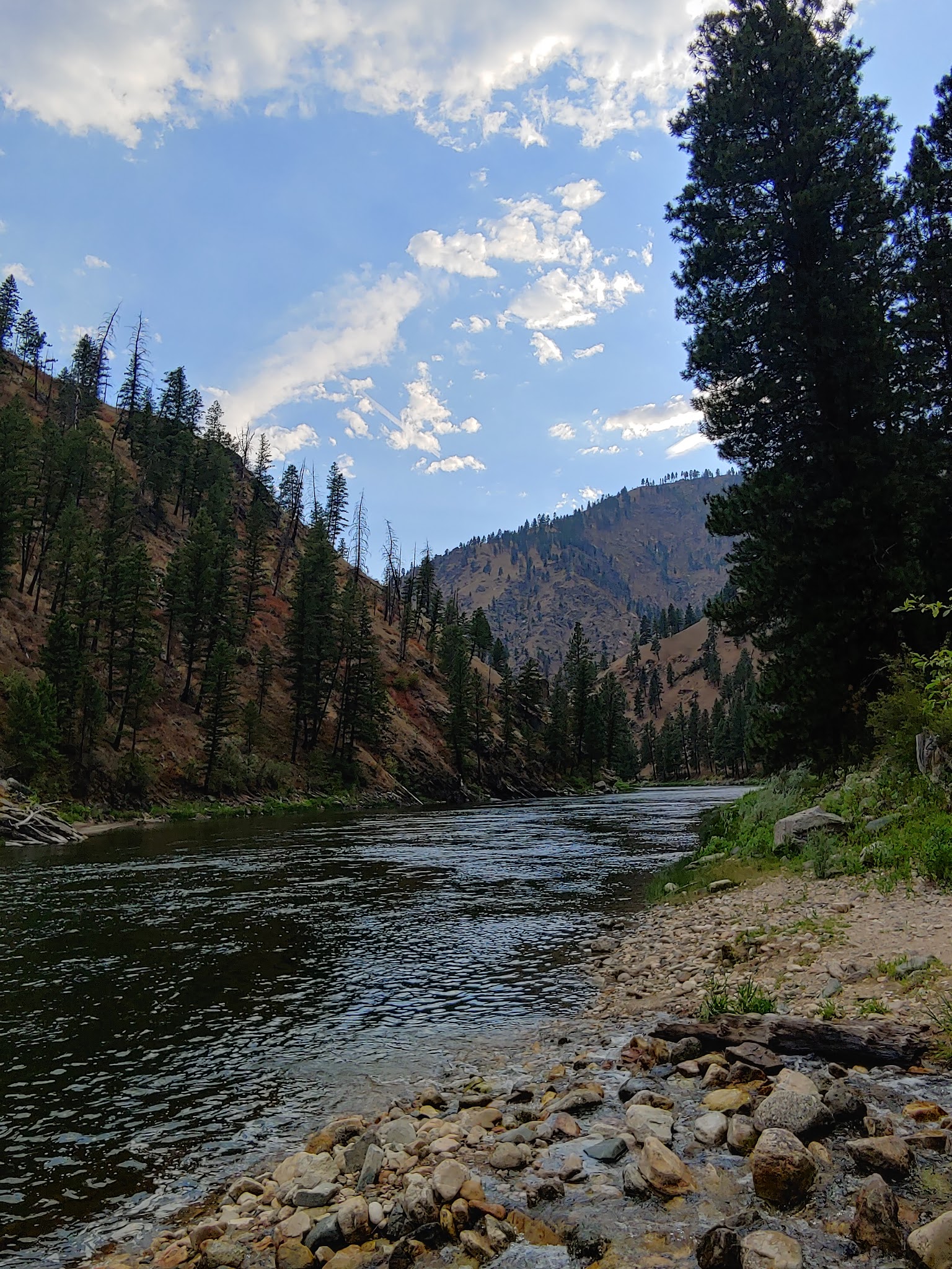 Spring Creek Campground