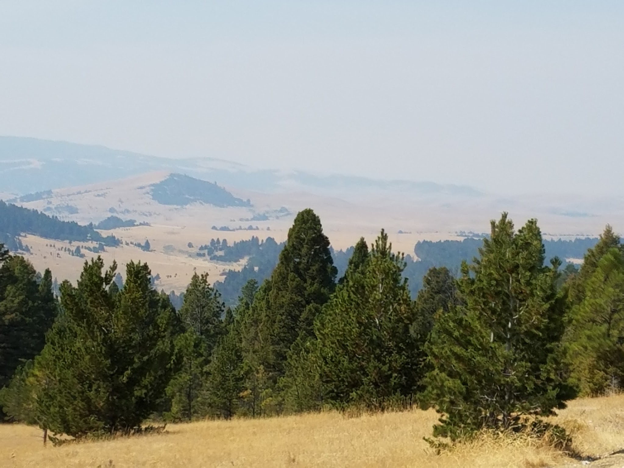 Spring Creek Campground