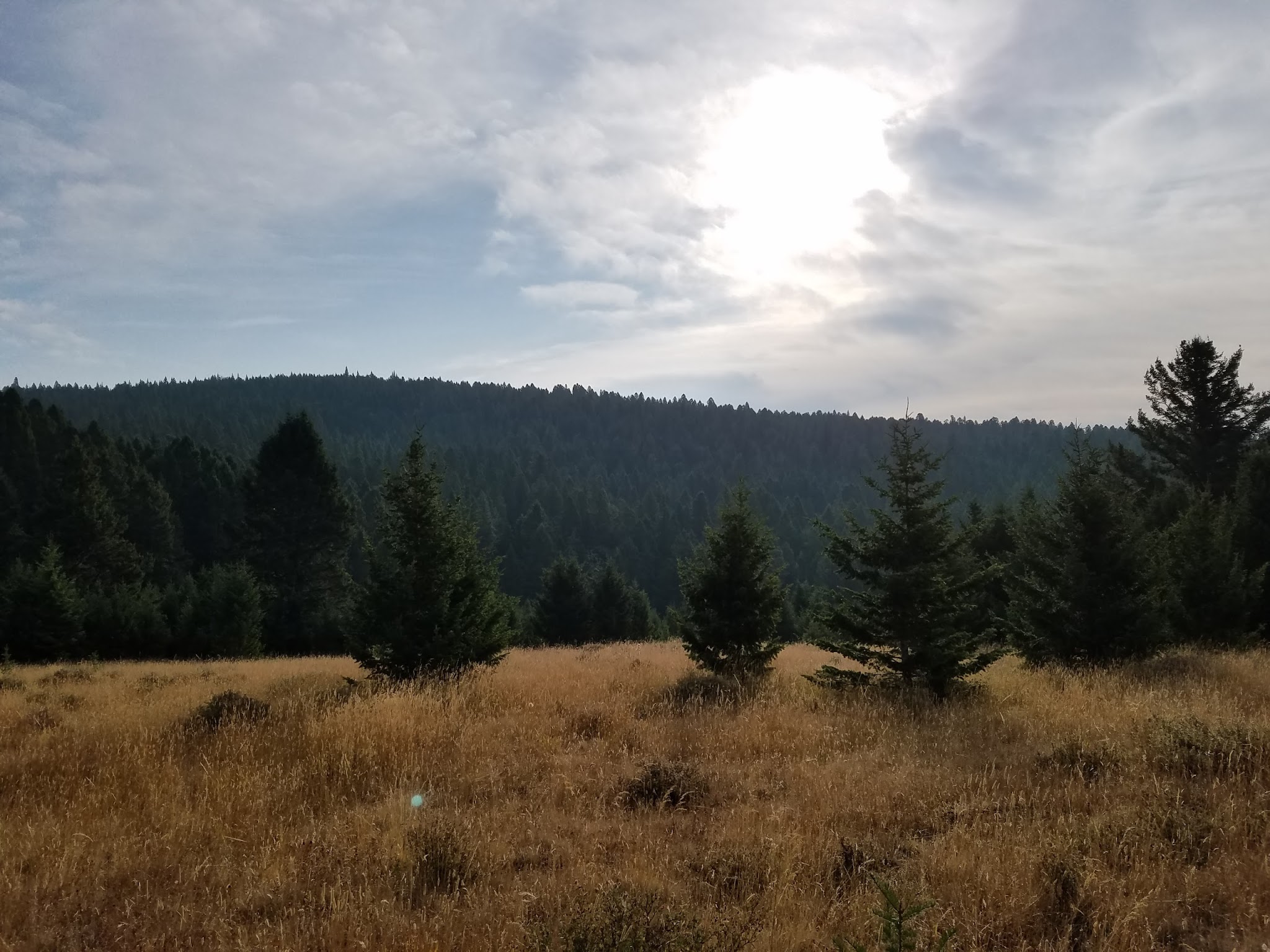 Spring Creek Campground