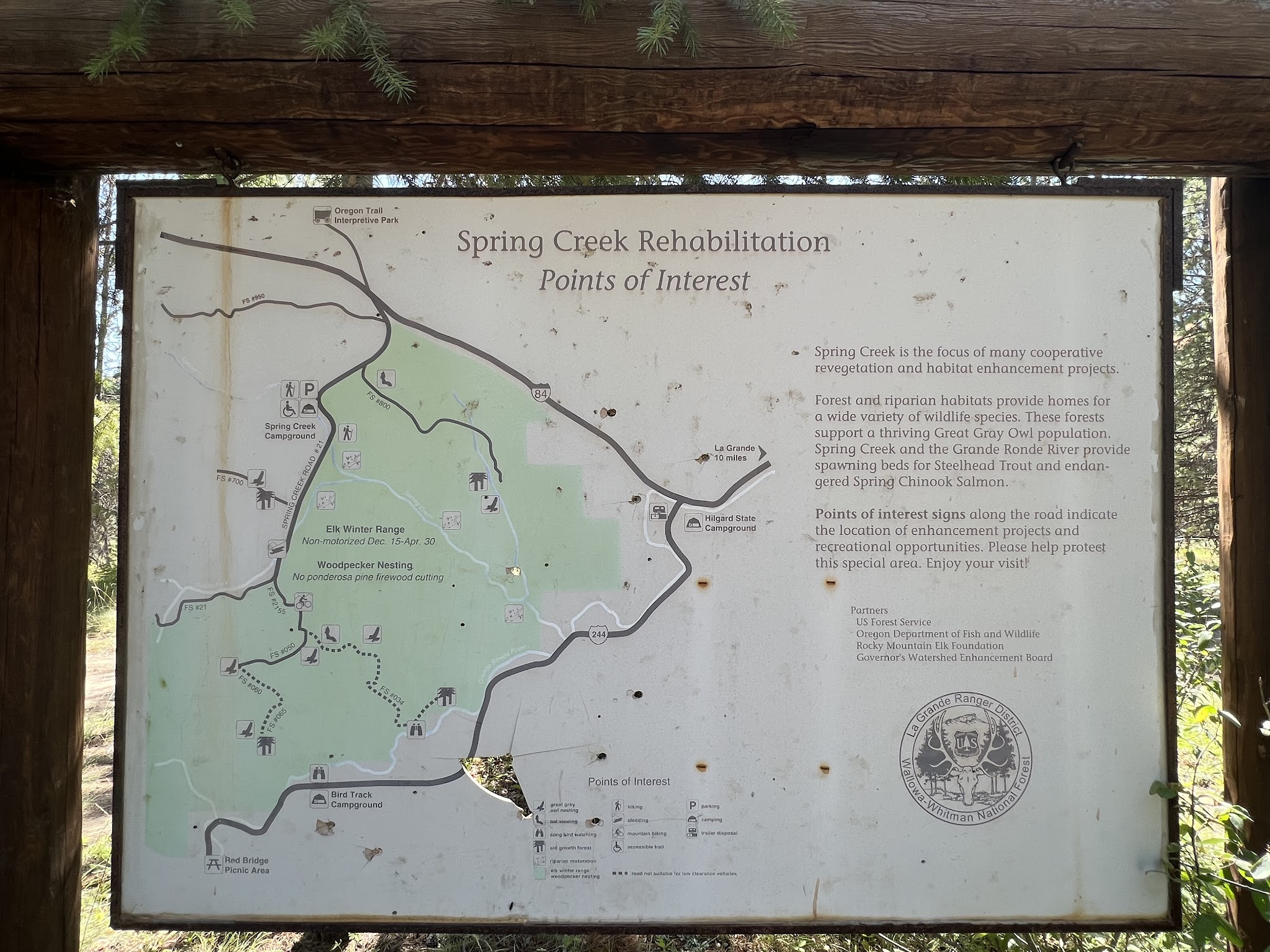 Spring Creek Campground