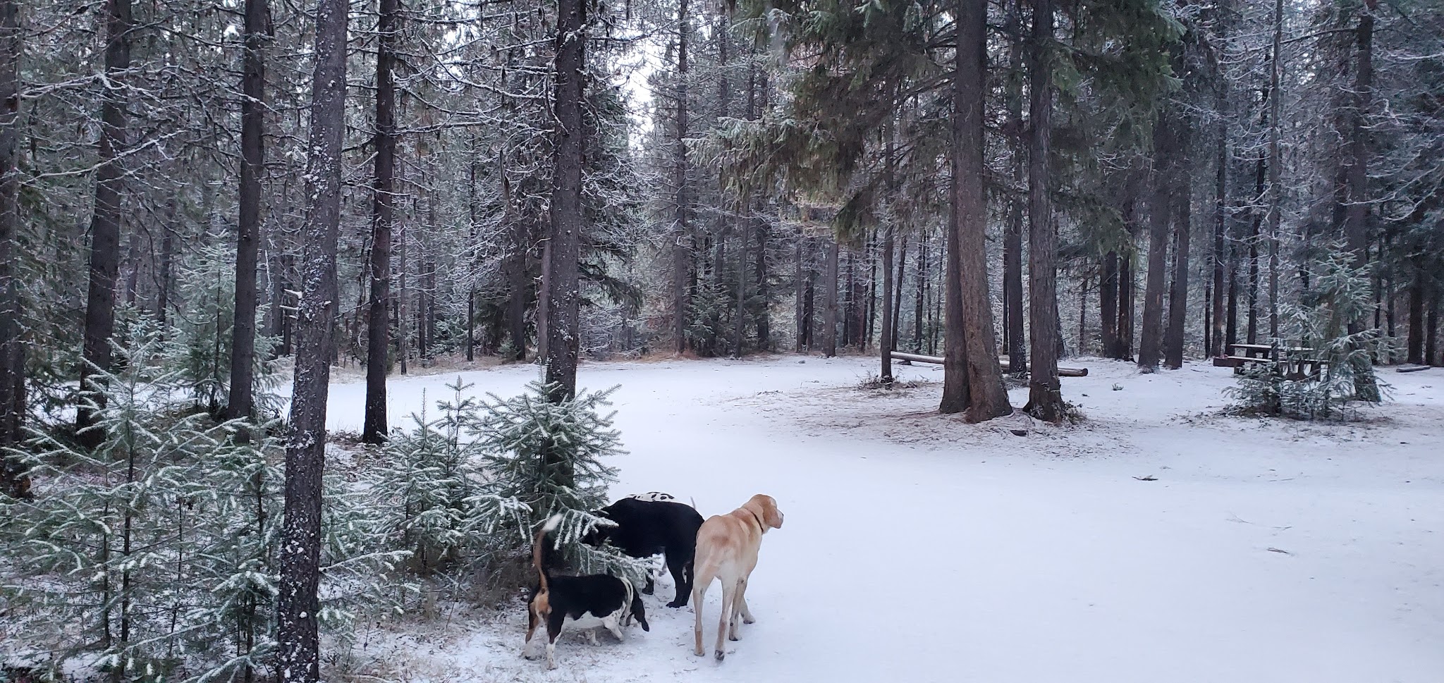 Spring Creek Campground
