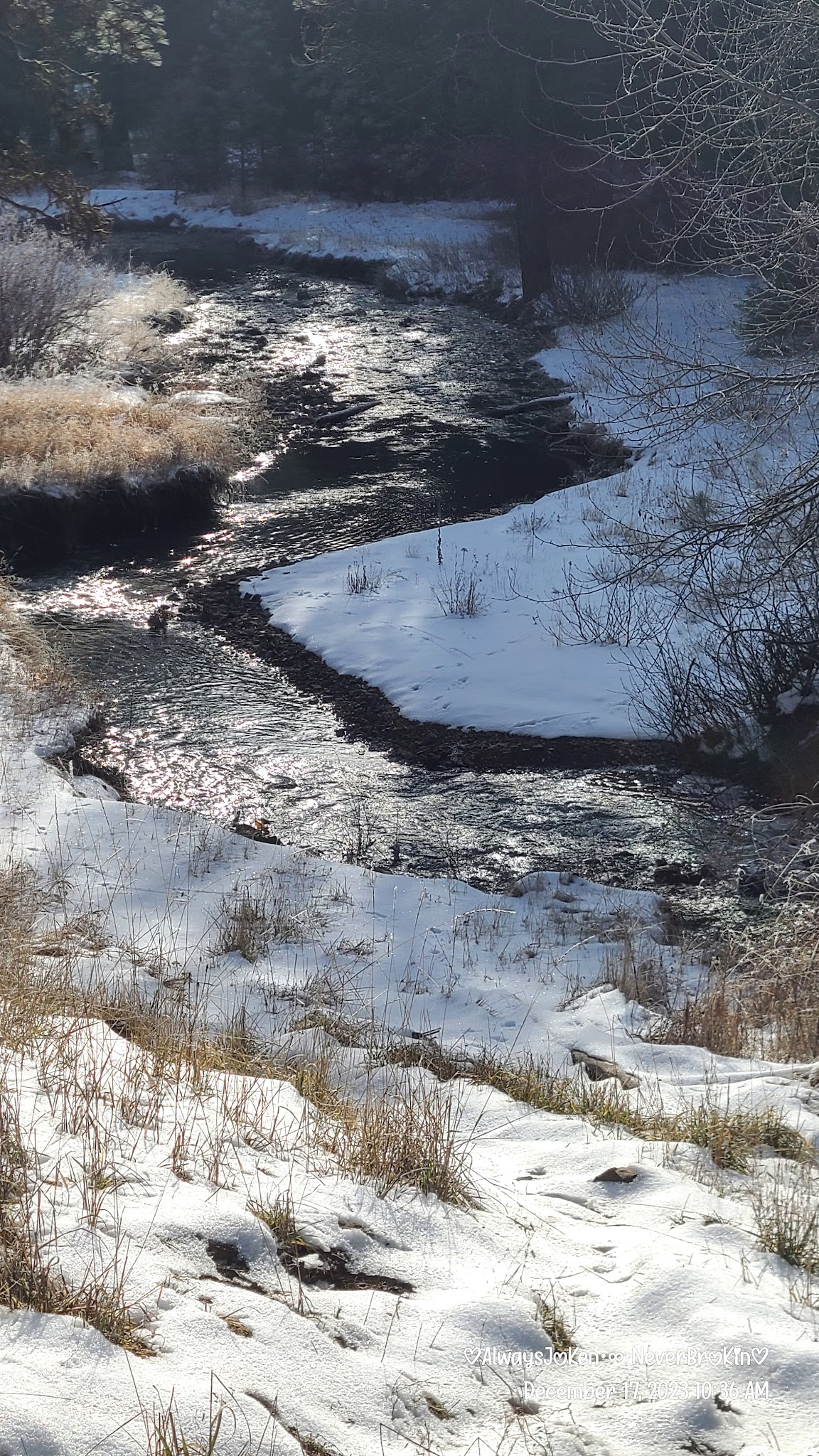 Spring Creek Campground