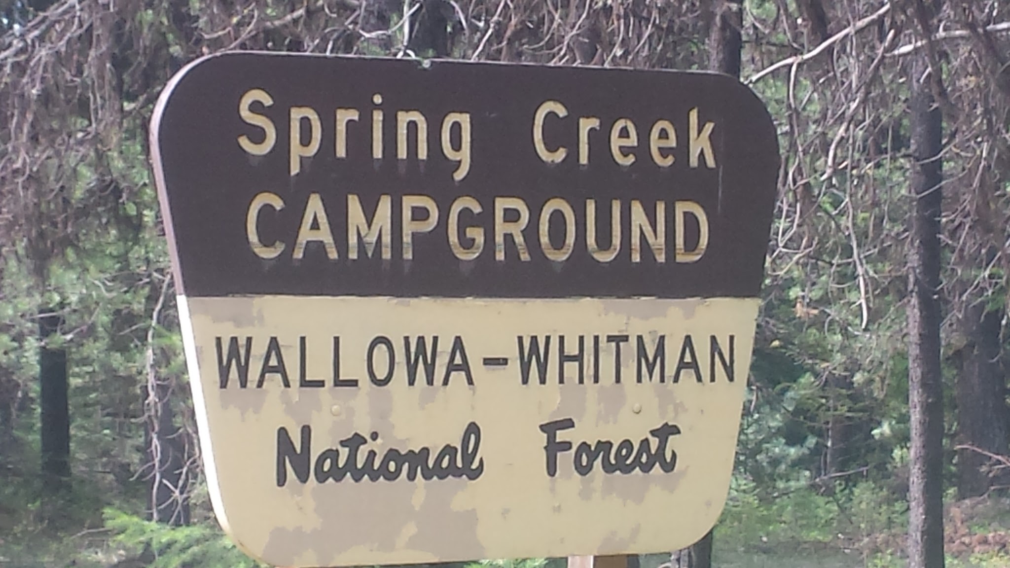 Spring Creek Campground