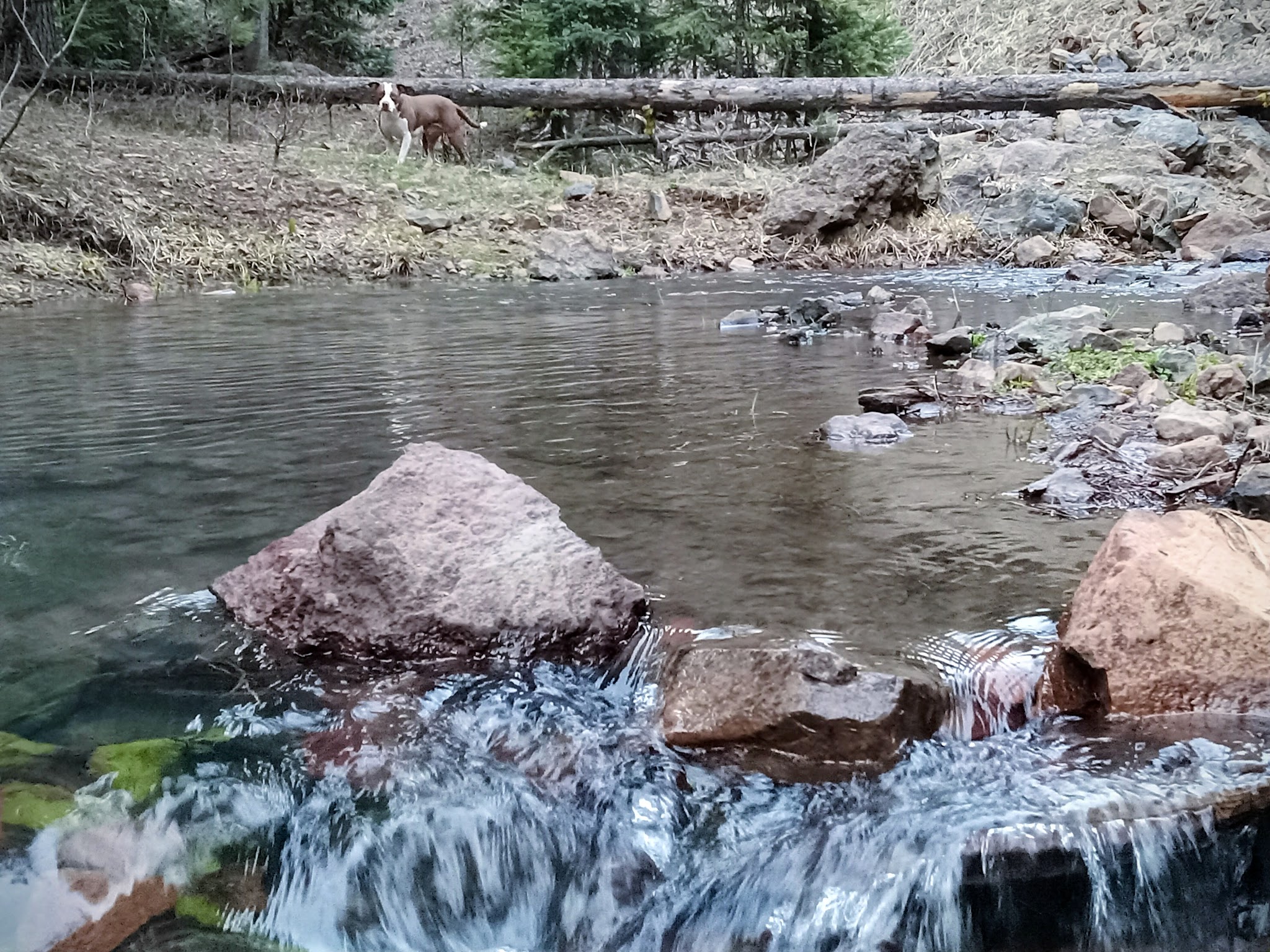 Spring Creek Campground