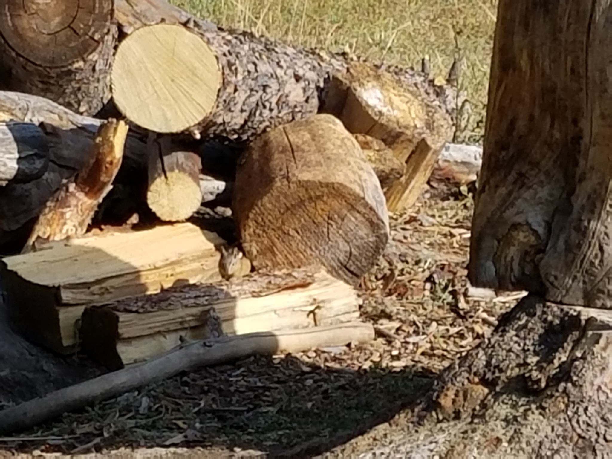 Spring Creek Campground