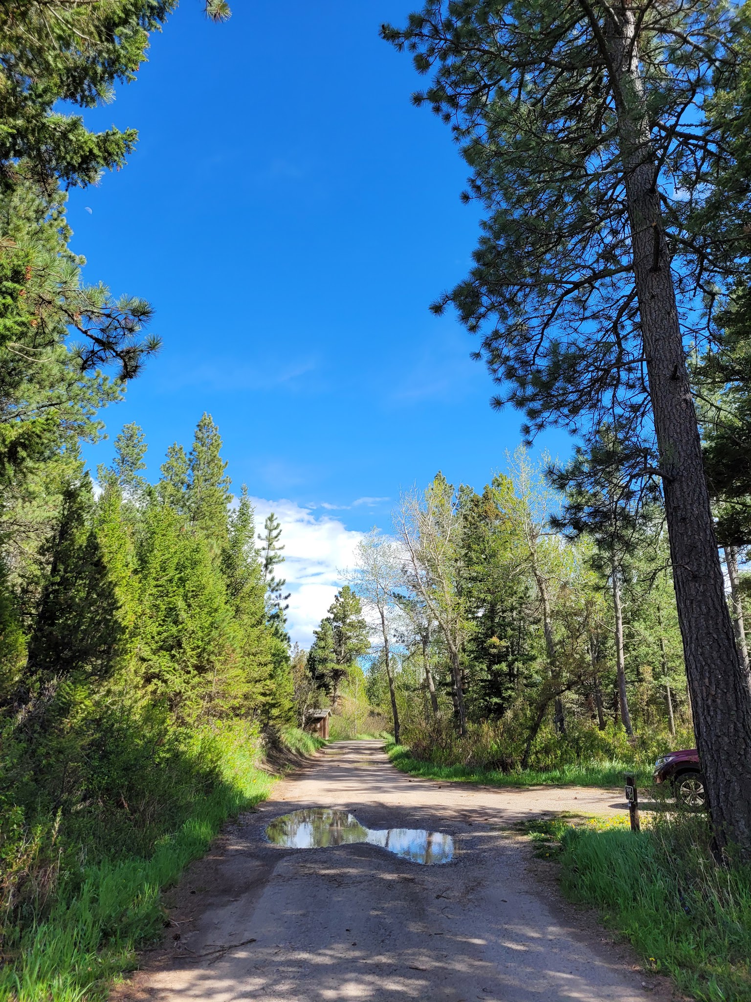 Spring Creek Campground