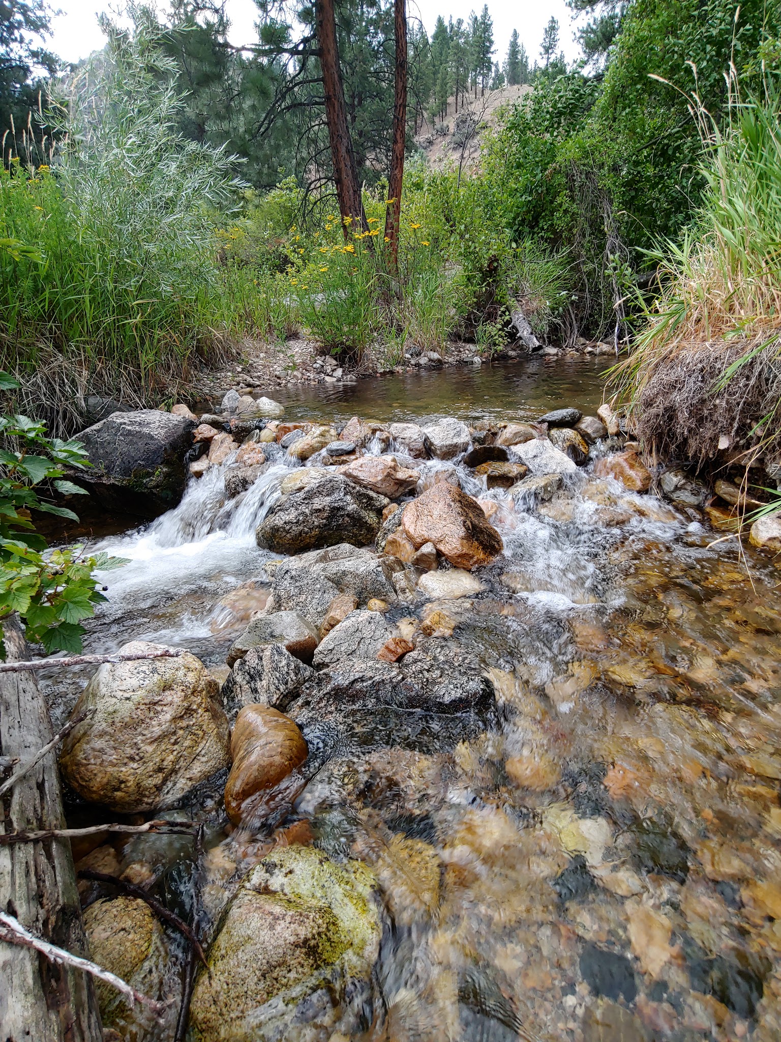 Spring Creek Campground