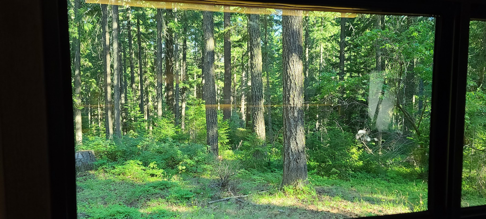 Spring Drive Rv Campground