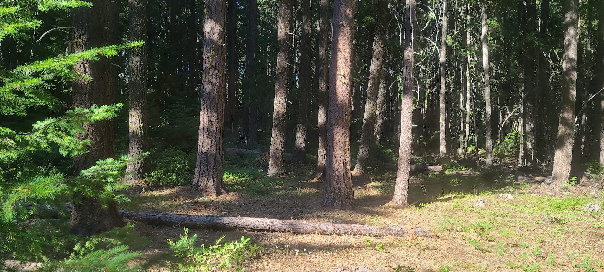 Spring Drive Rv Campground