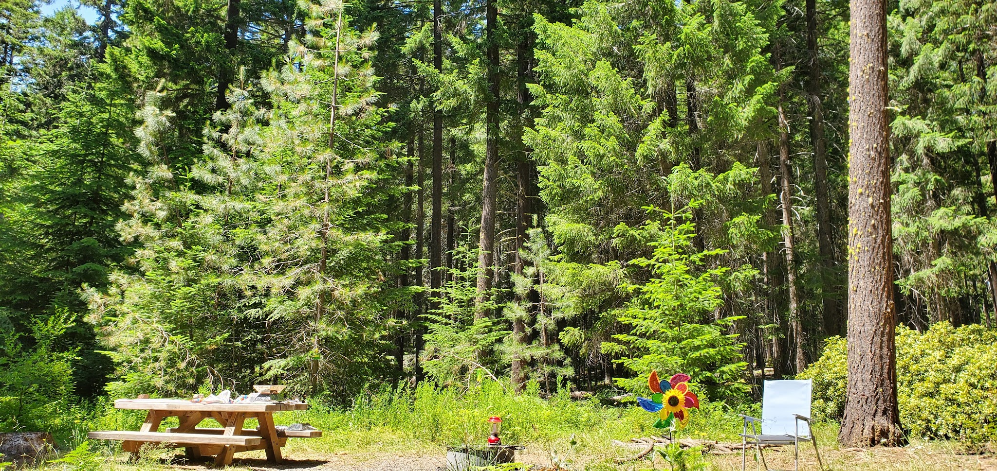 Spring Drive Rv Campground