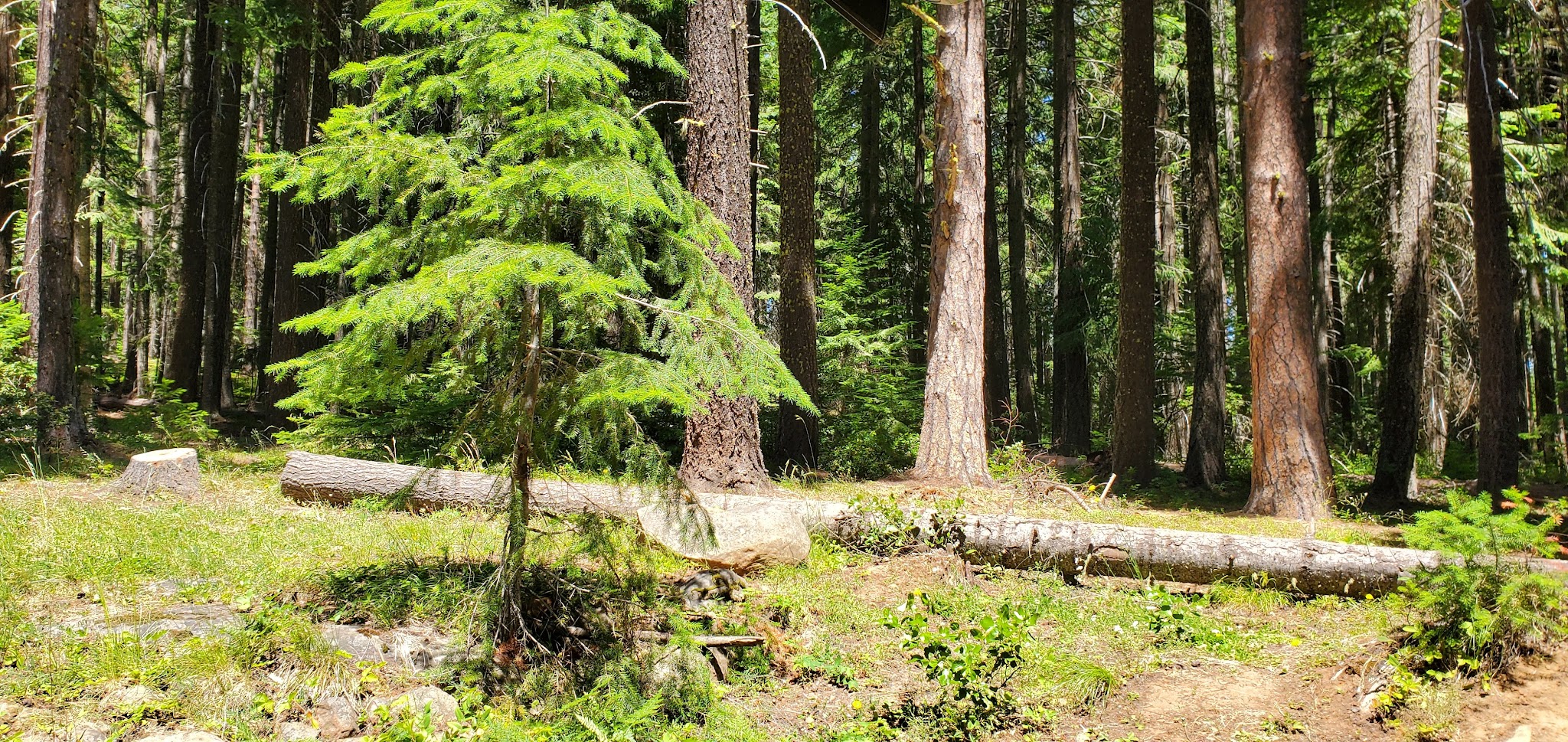 Spring Drive Rv Campground