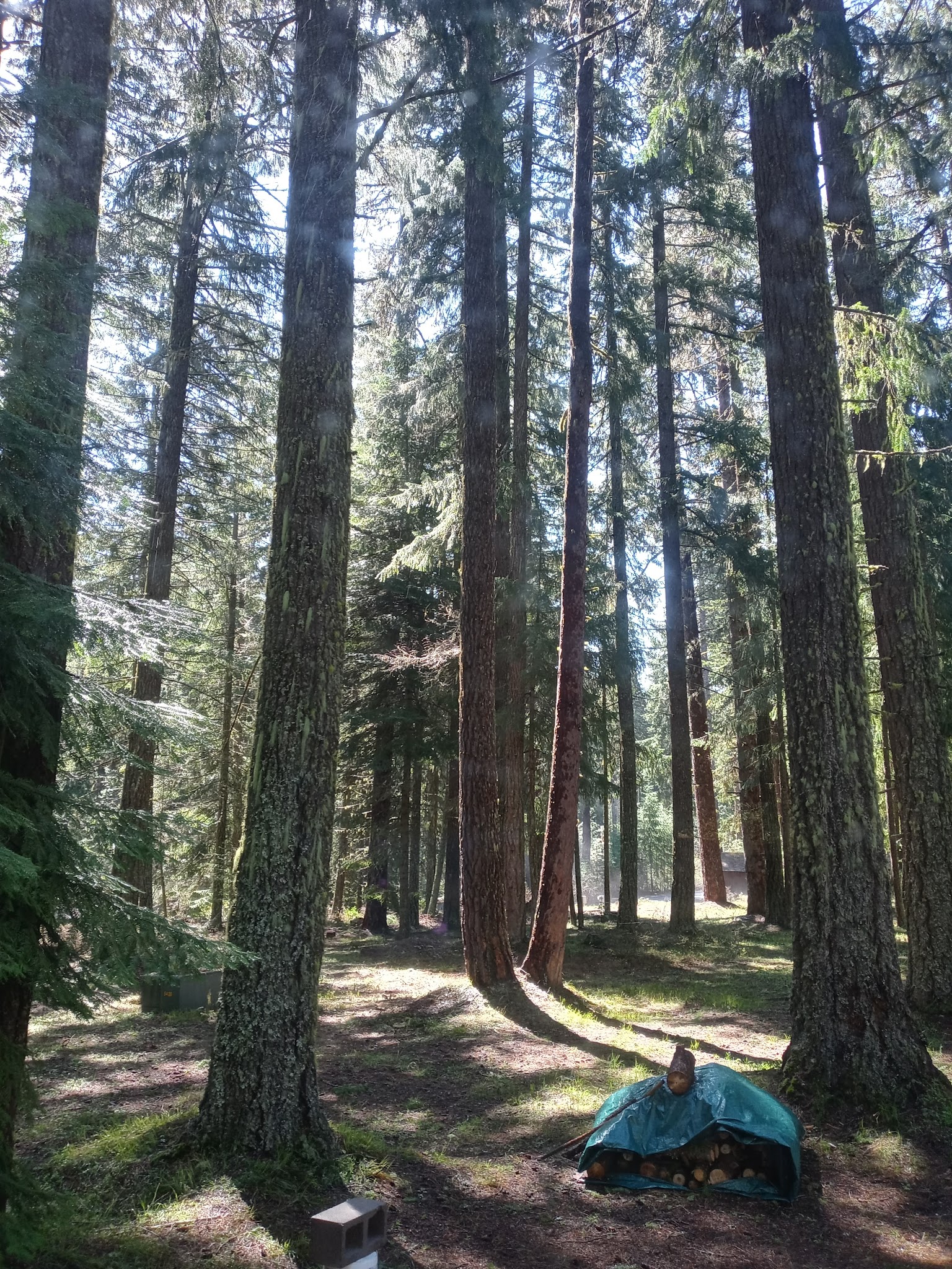 Spring Drive Rv Campground