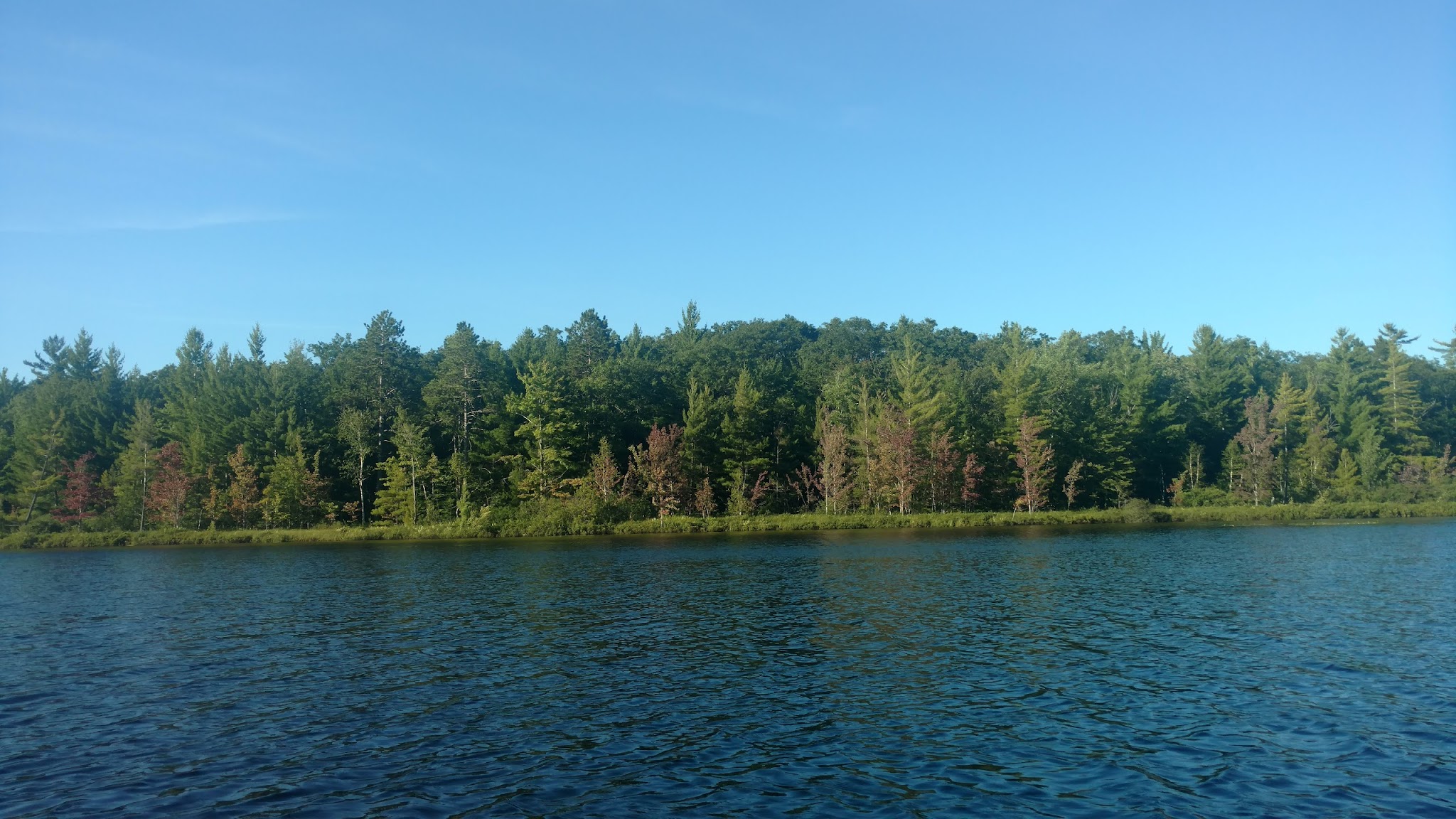 Spring Lake State Forest Campground