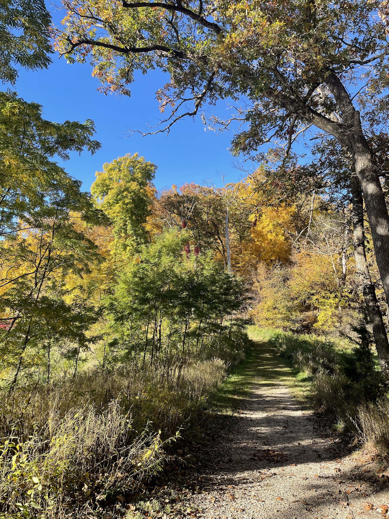 Springbrook State Park