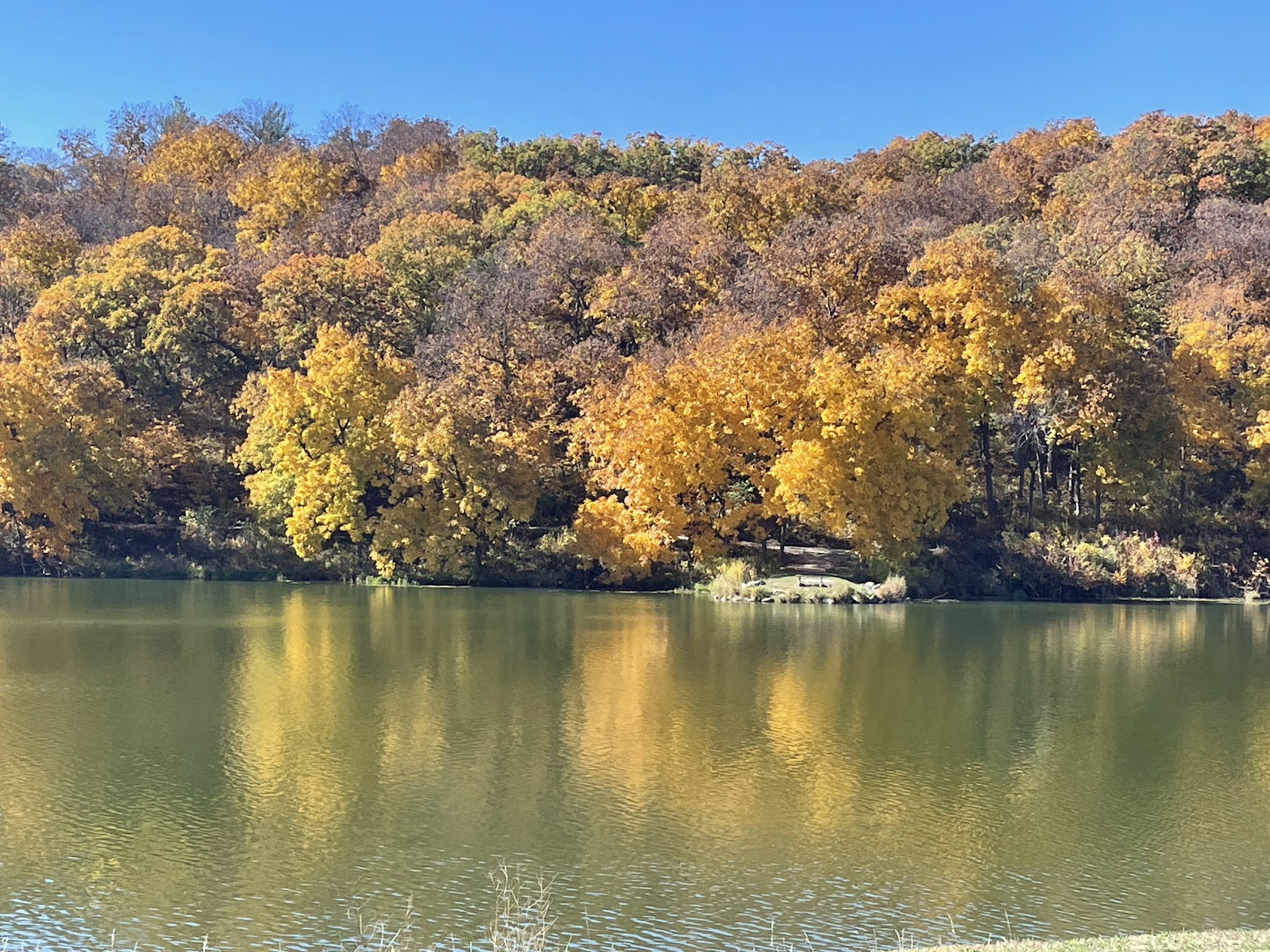 Springbrook State Park