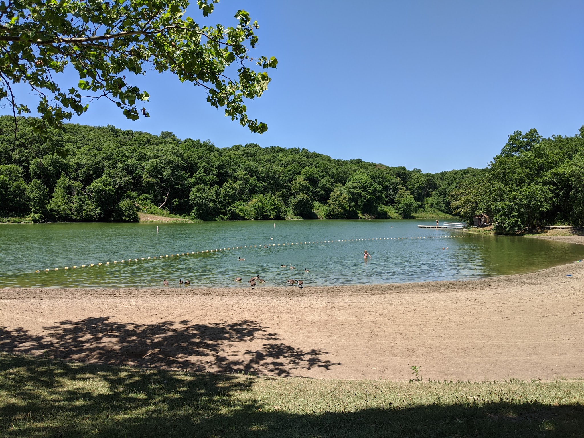 Springbrook State Park