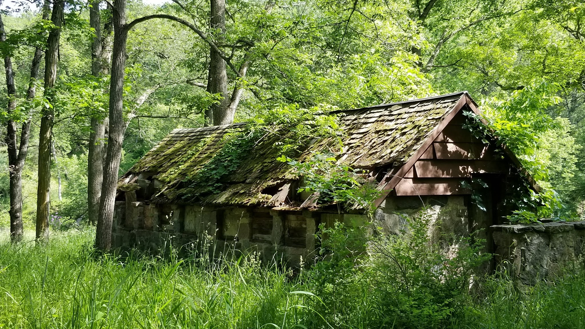 Springbrook State Park