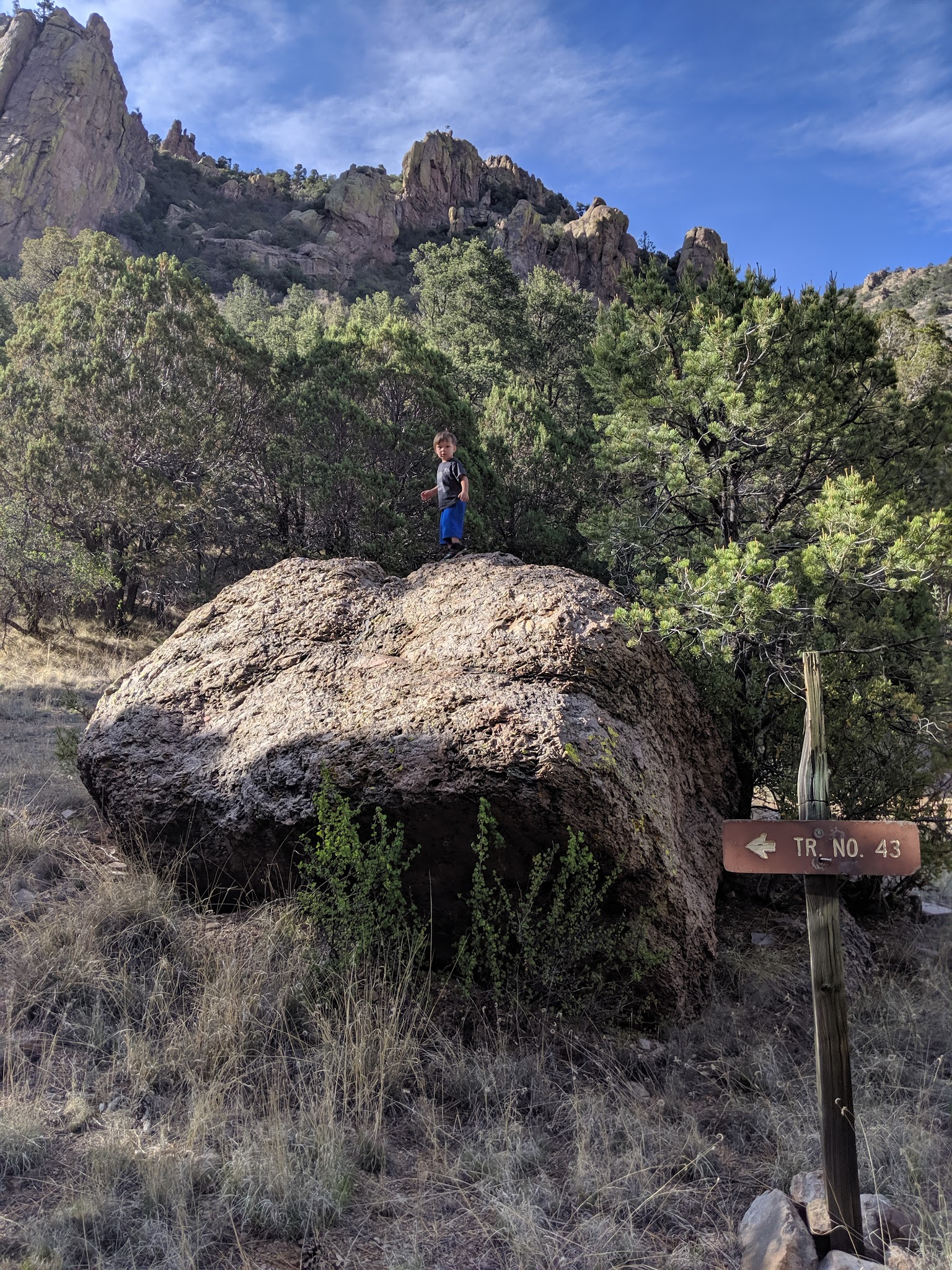Springtime Campground