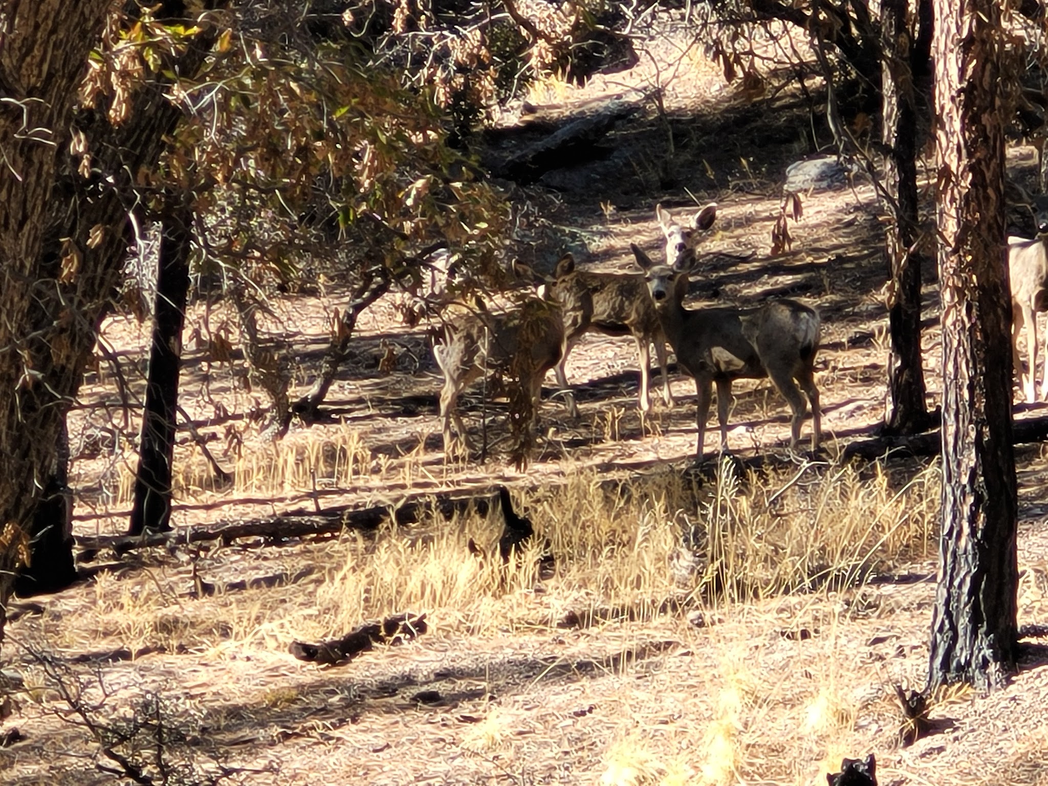Springtime Campground