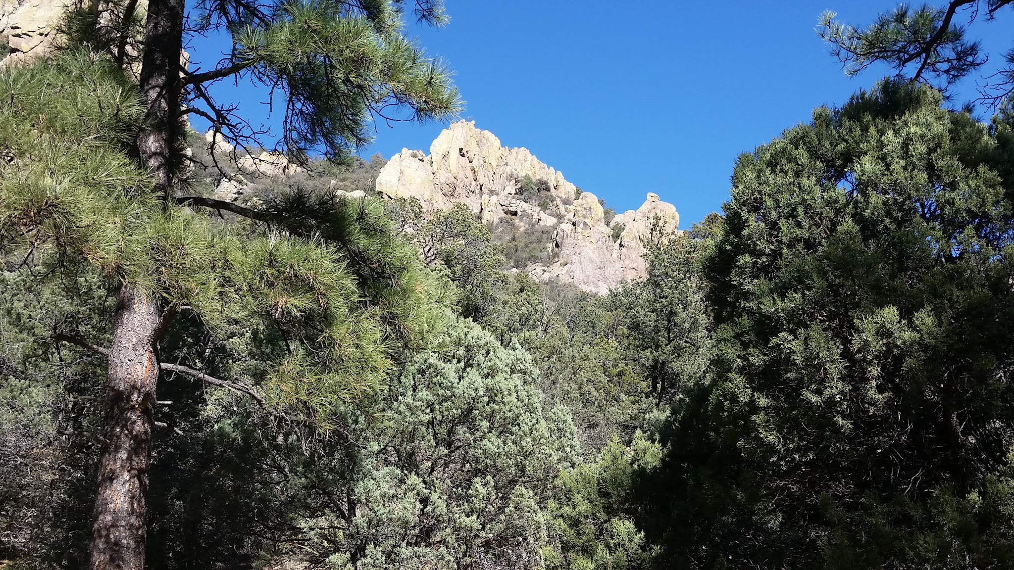 Springtime Campground