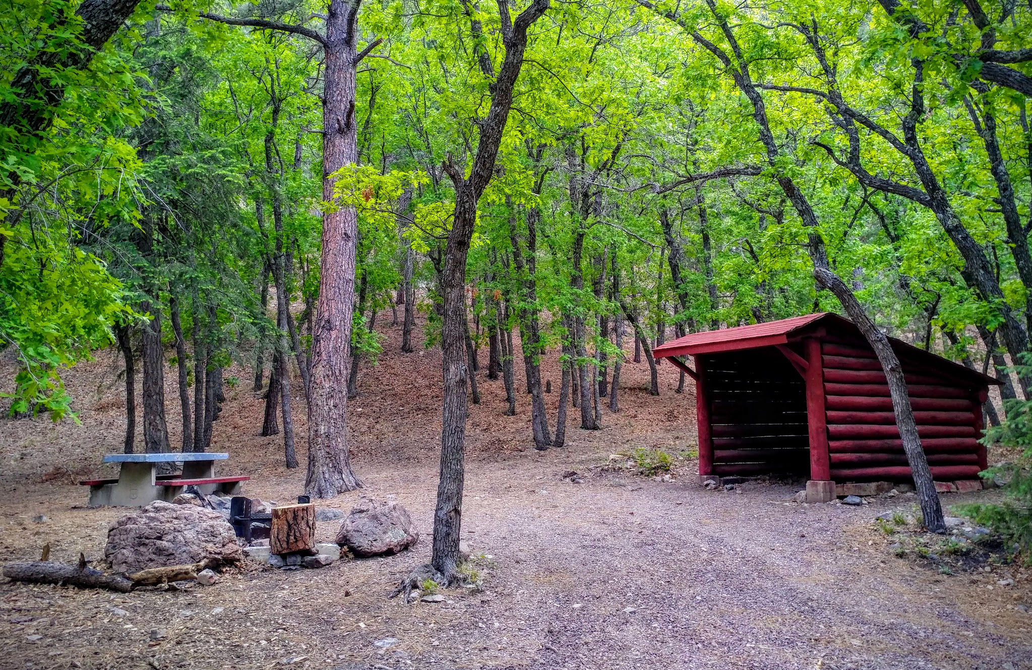 Springtime Campground