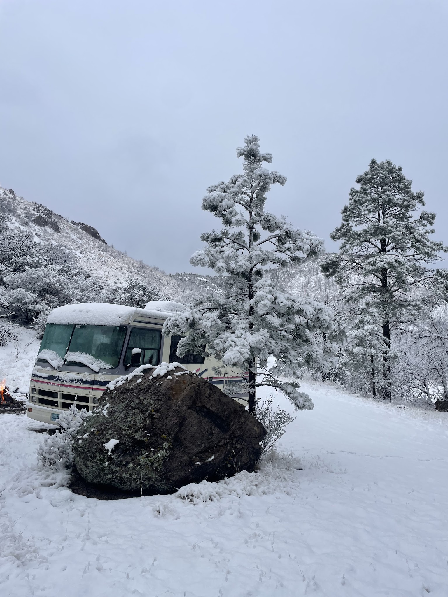 Springtime Campground