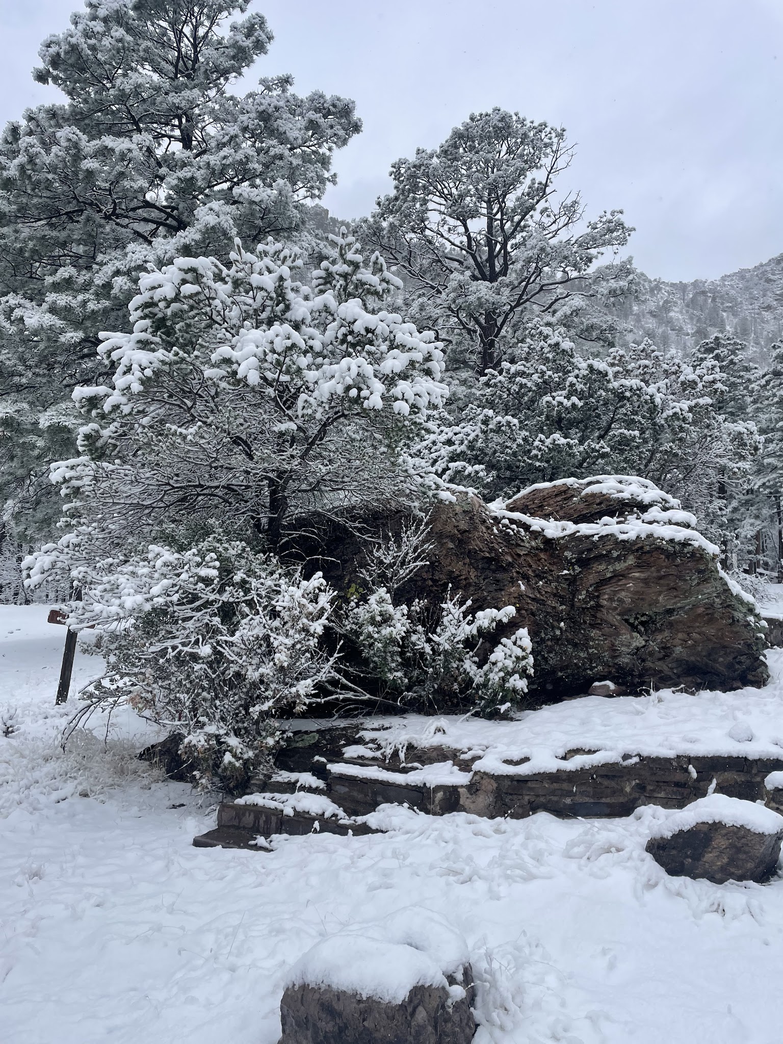 Springtime Campground