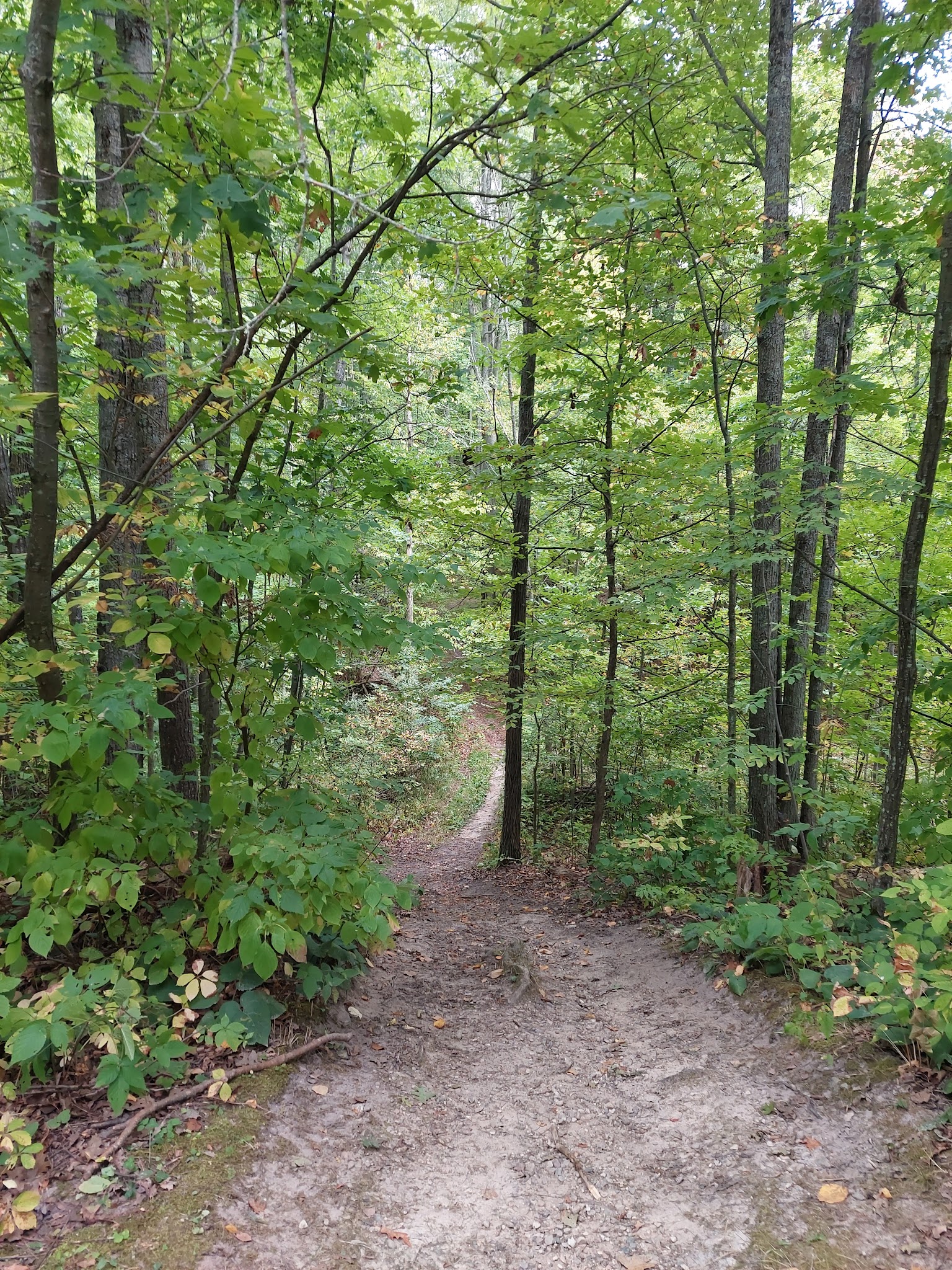 Rifle River Spruce Campground