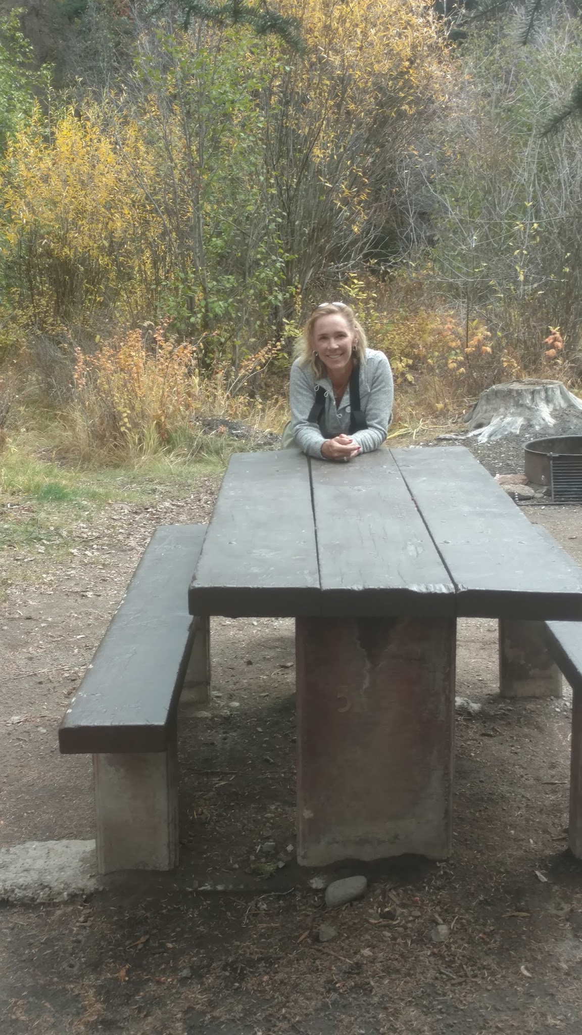 Spruce Campground - Gunnison Rd