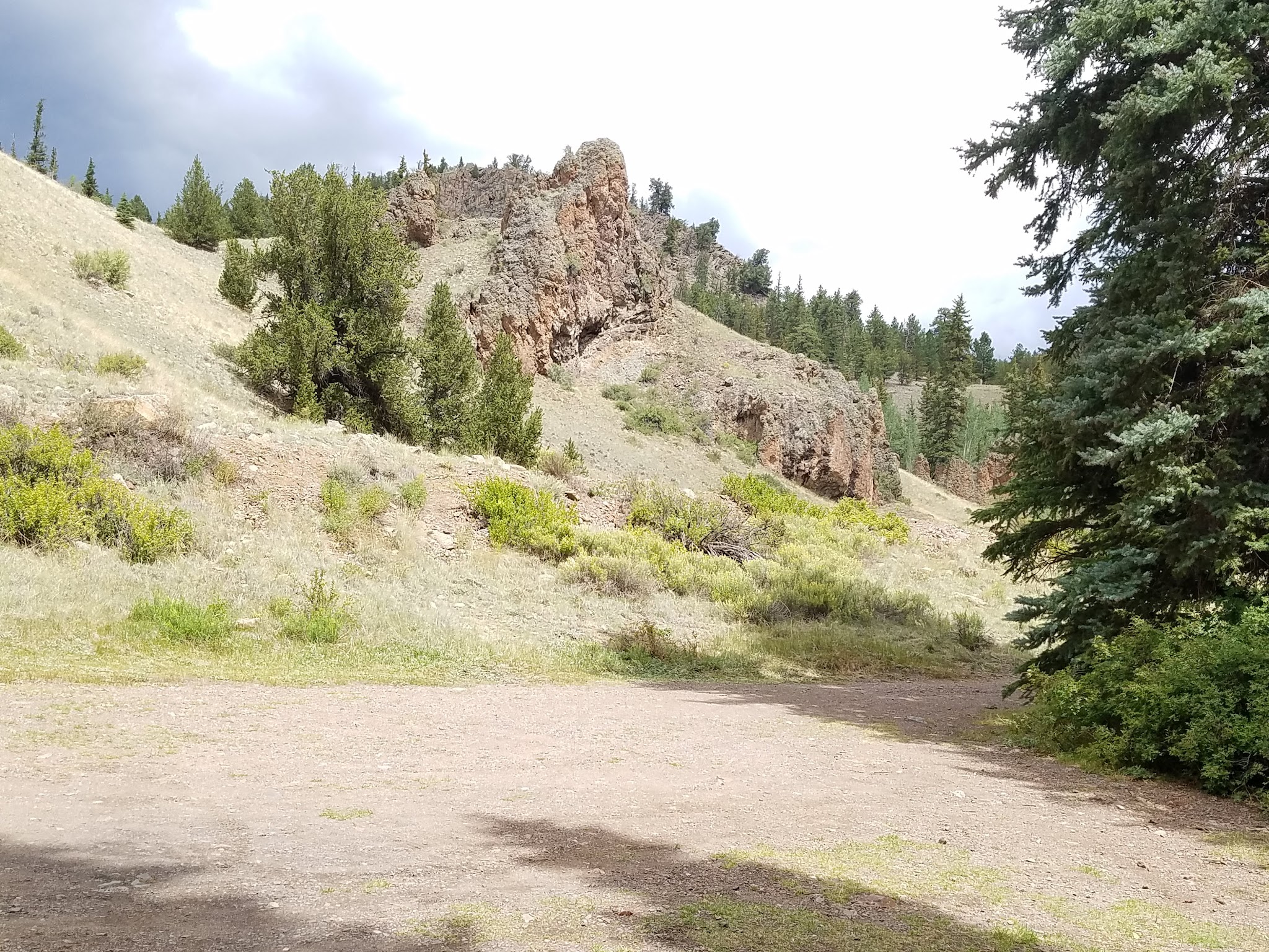 Spruce Campground - Gunnison Rd