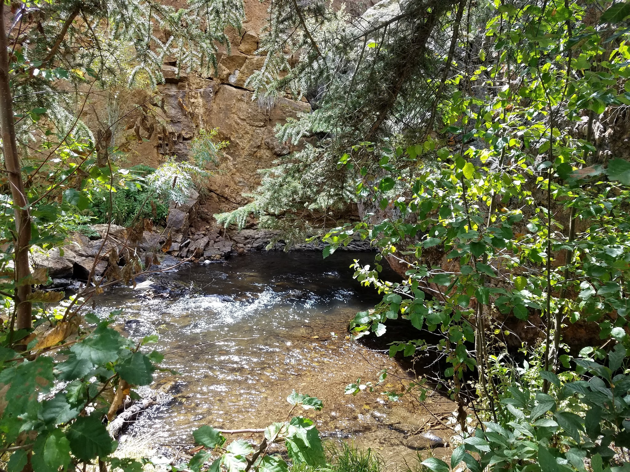 Spruce Campground - Gunnison Rd