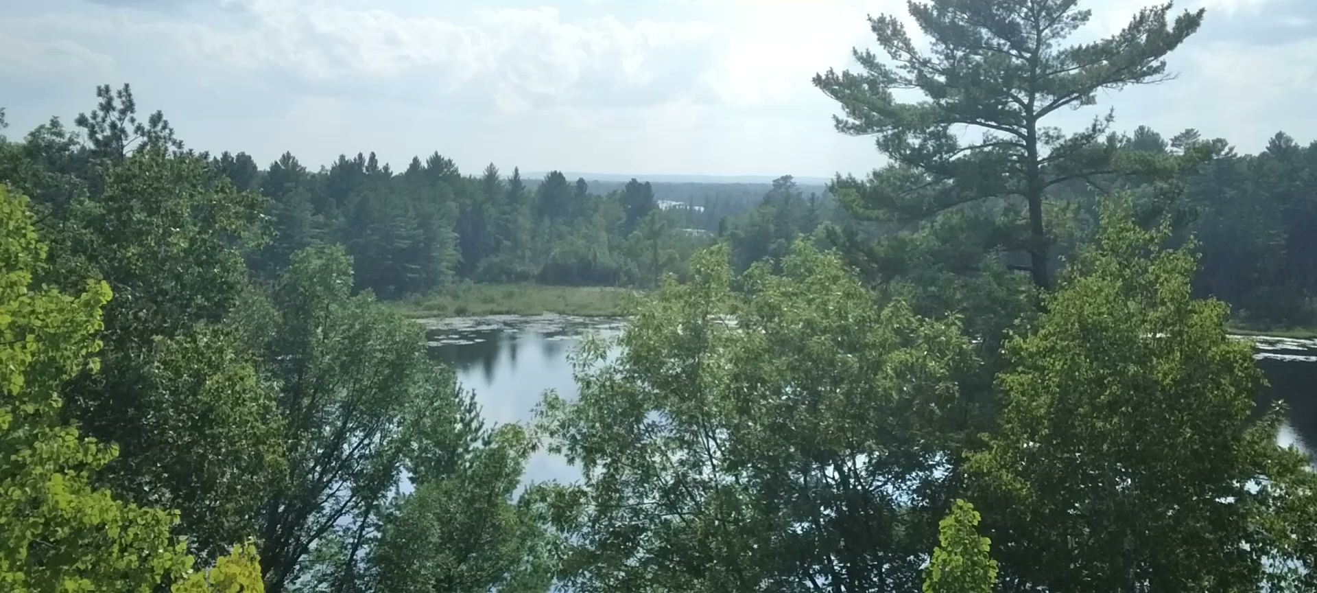 Rifle River Spruce Campground