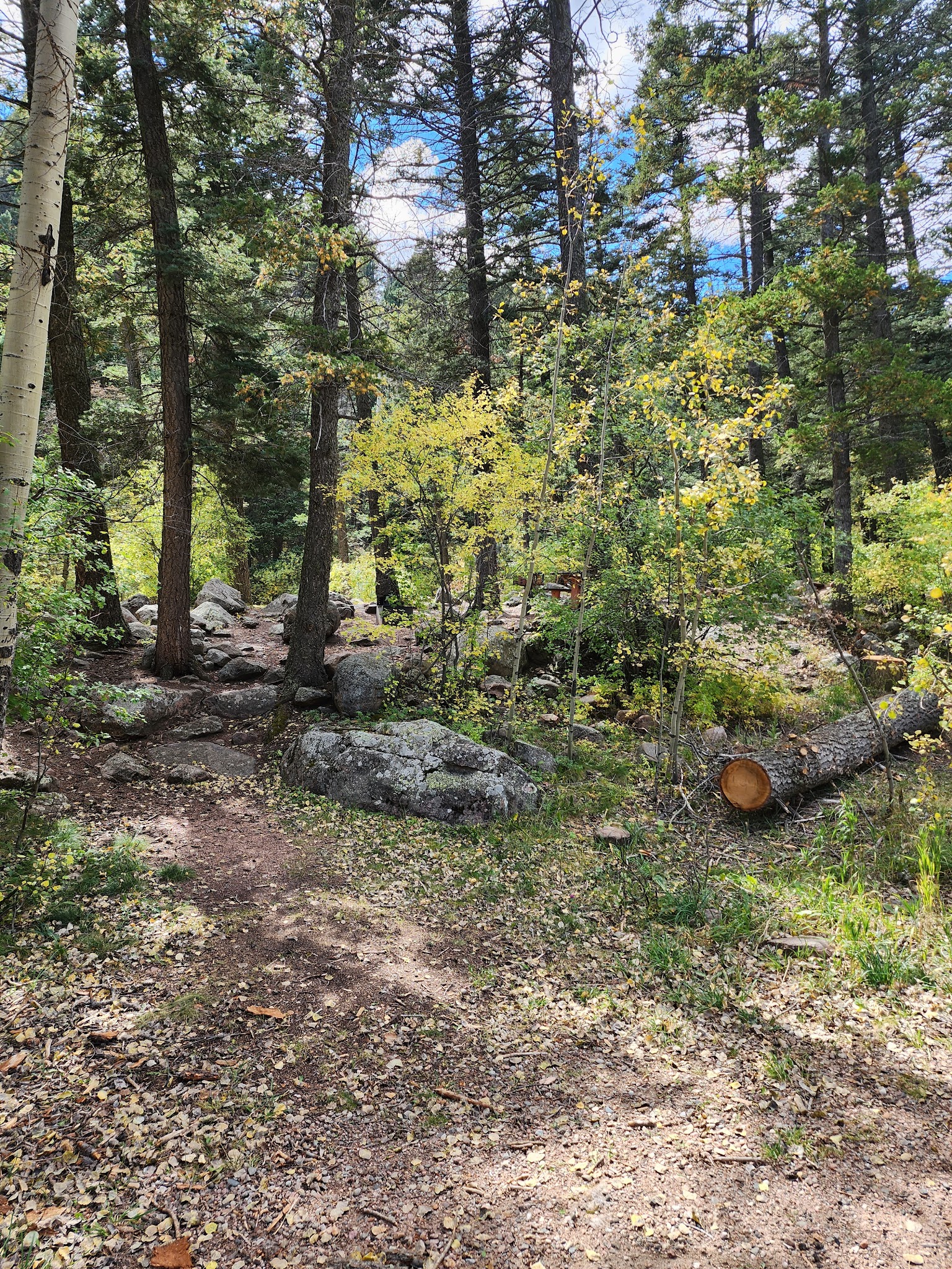 Spruce Group - Lake Isabel