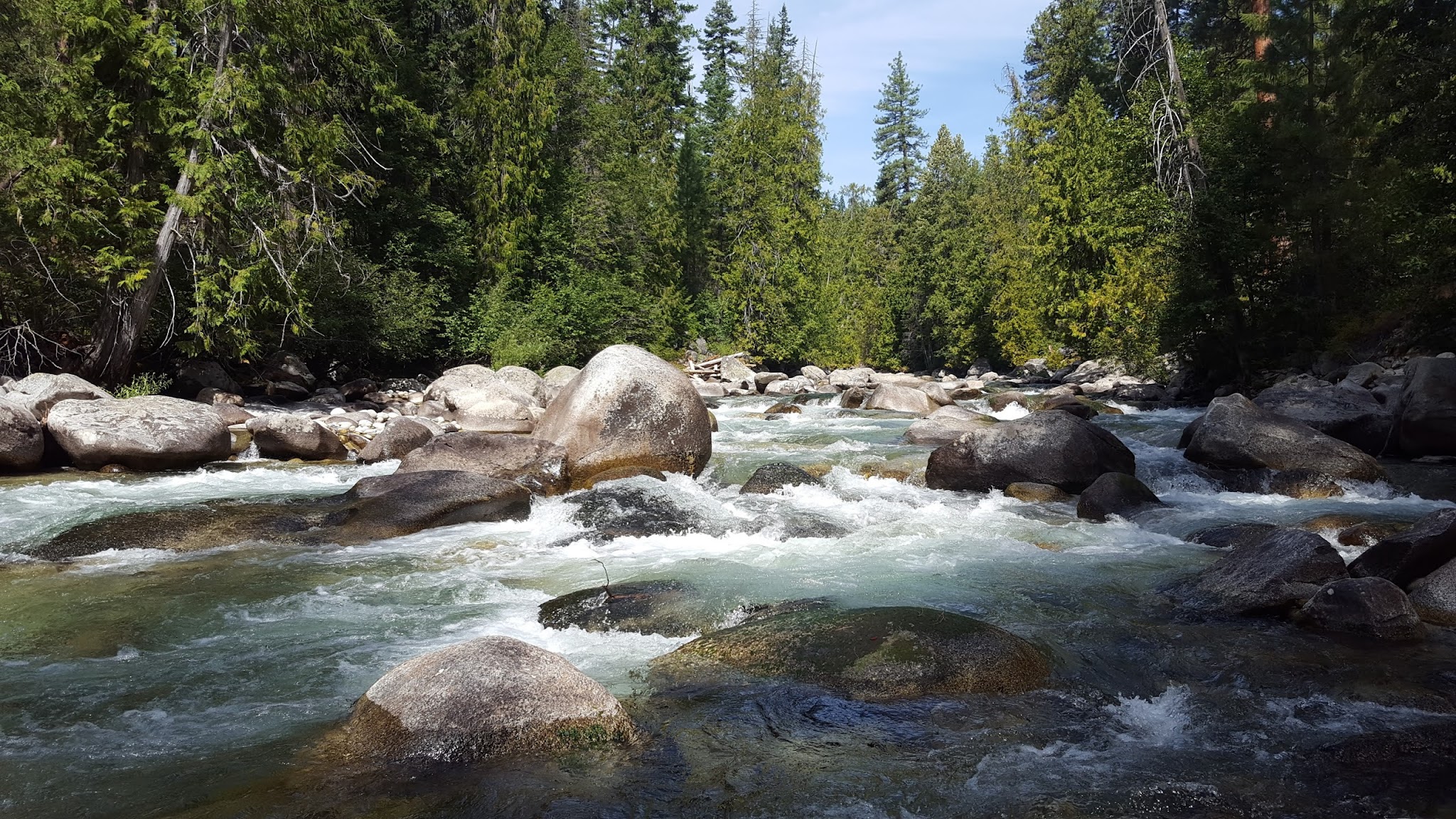 Spruce Grove Campground