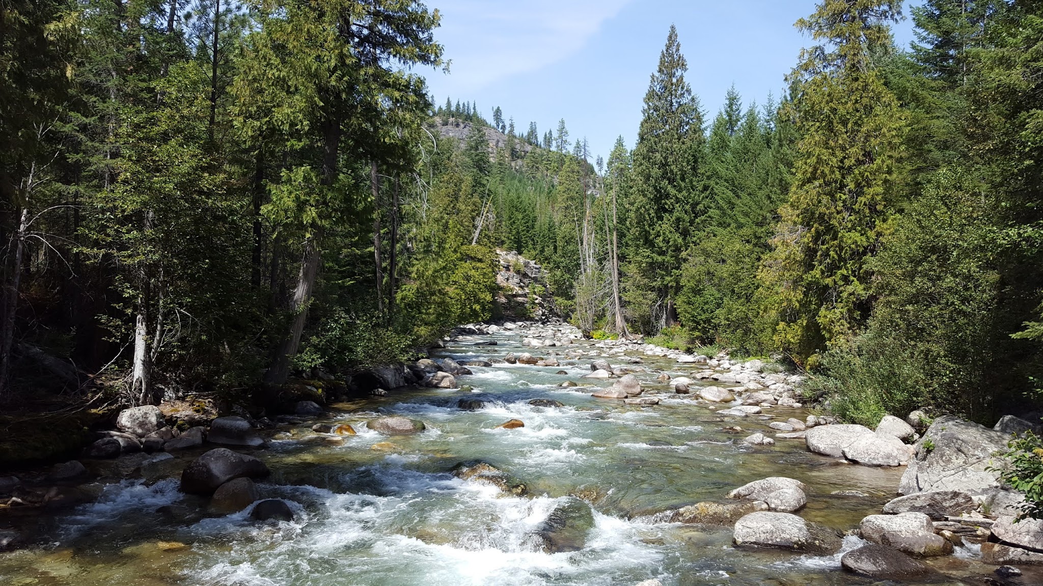 Spruce Grove Campground