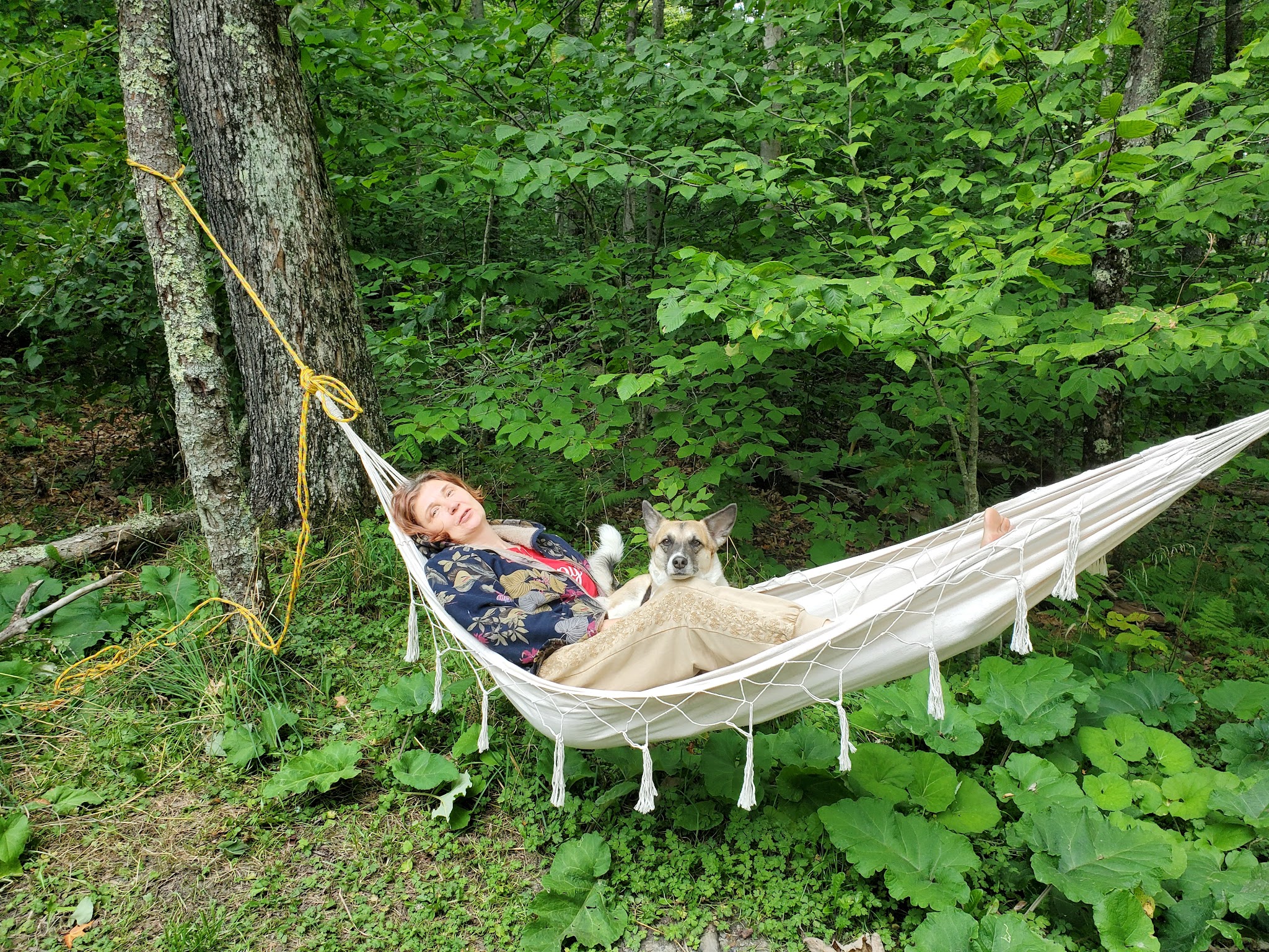 Spruce Knob Lake Campground