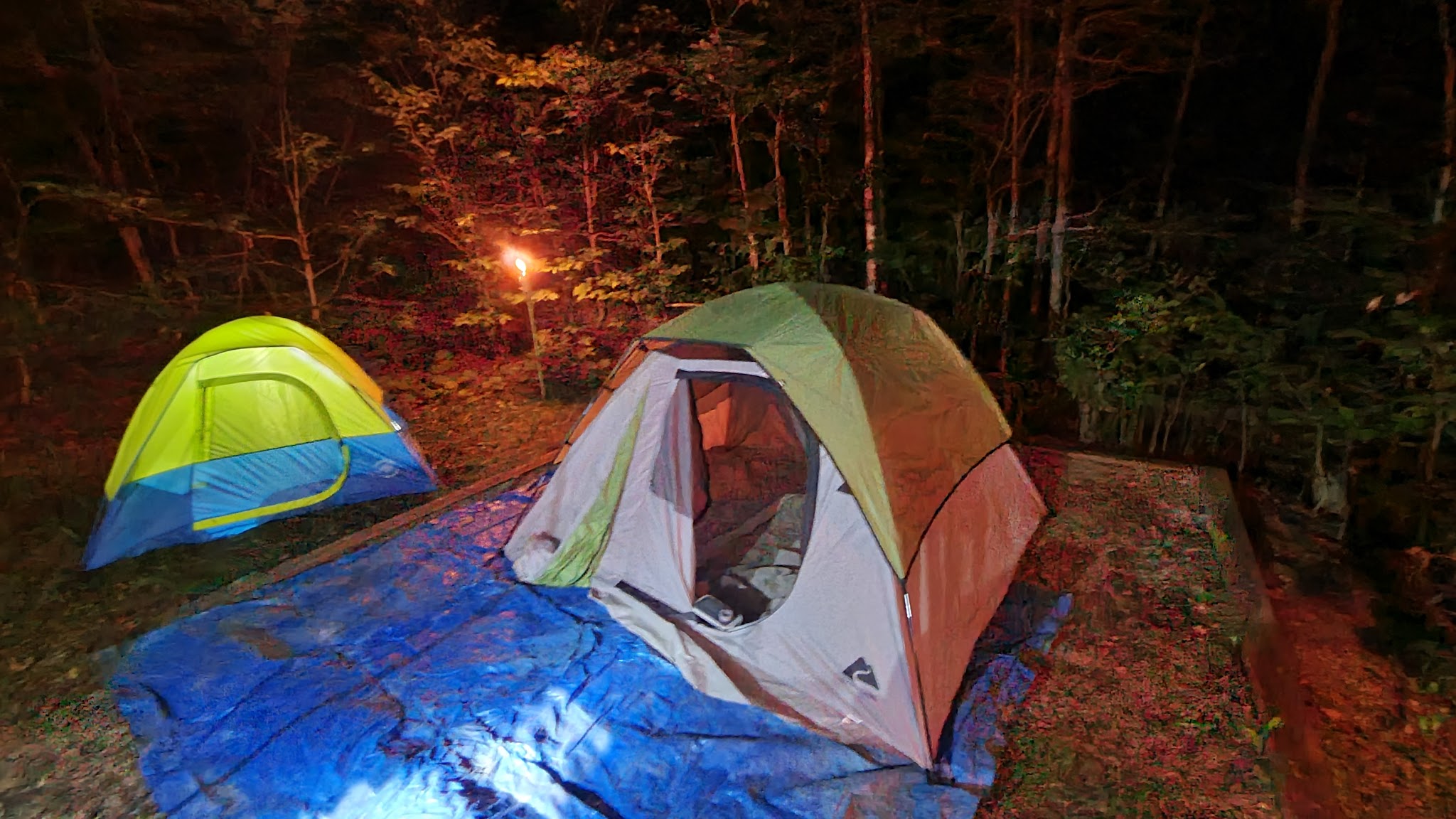 Spruce Knob Lake Campground