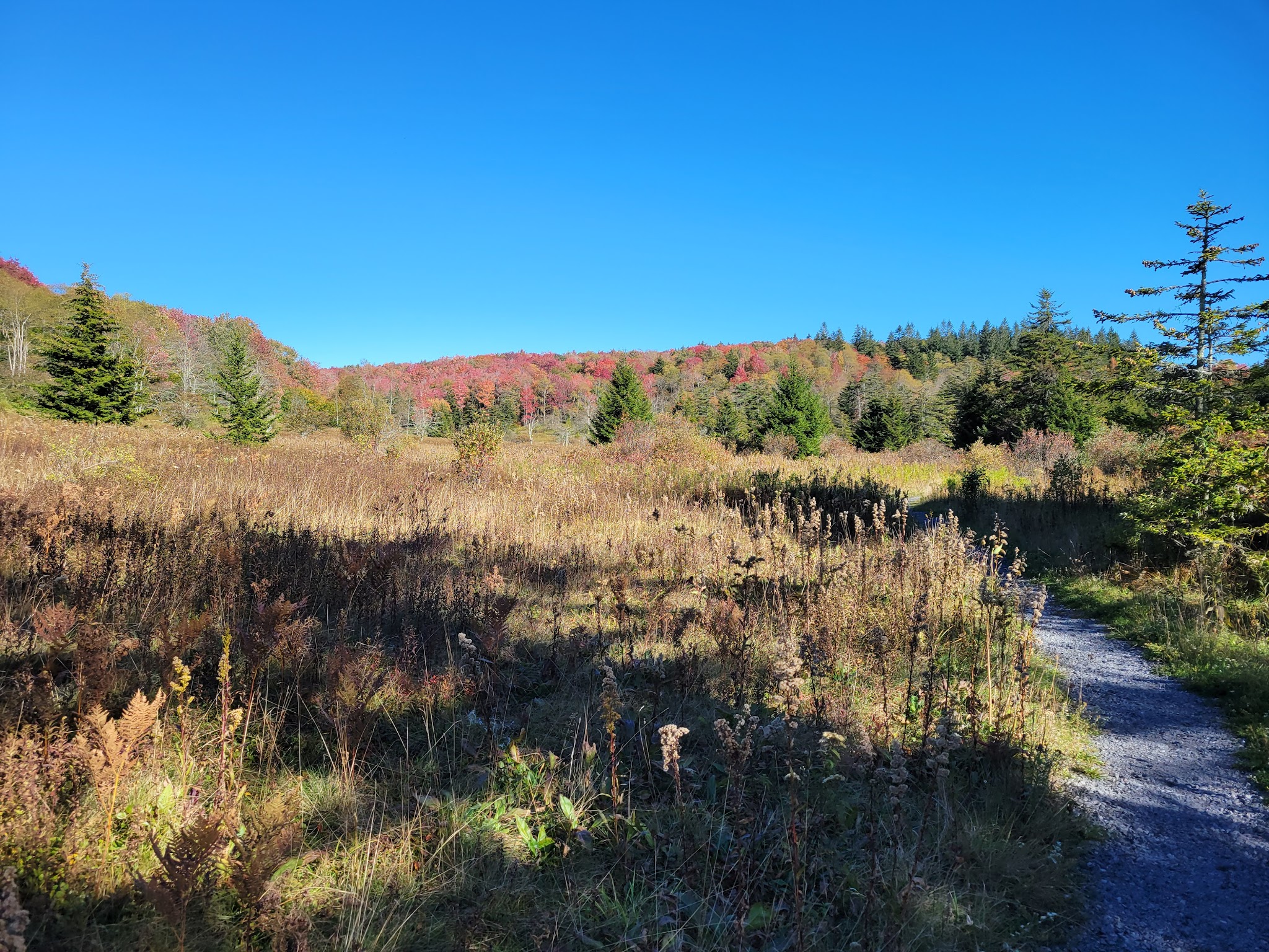 Spruce Knob Lake Campground