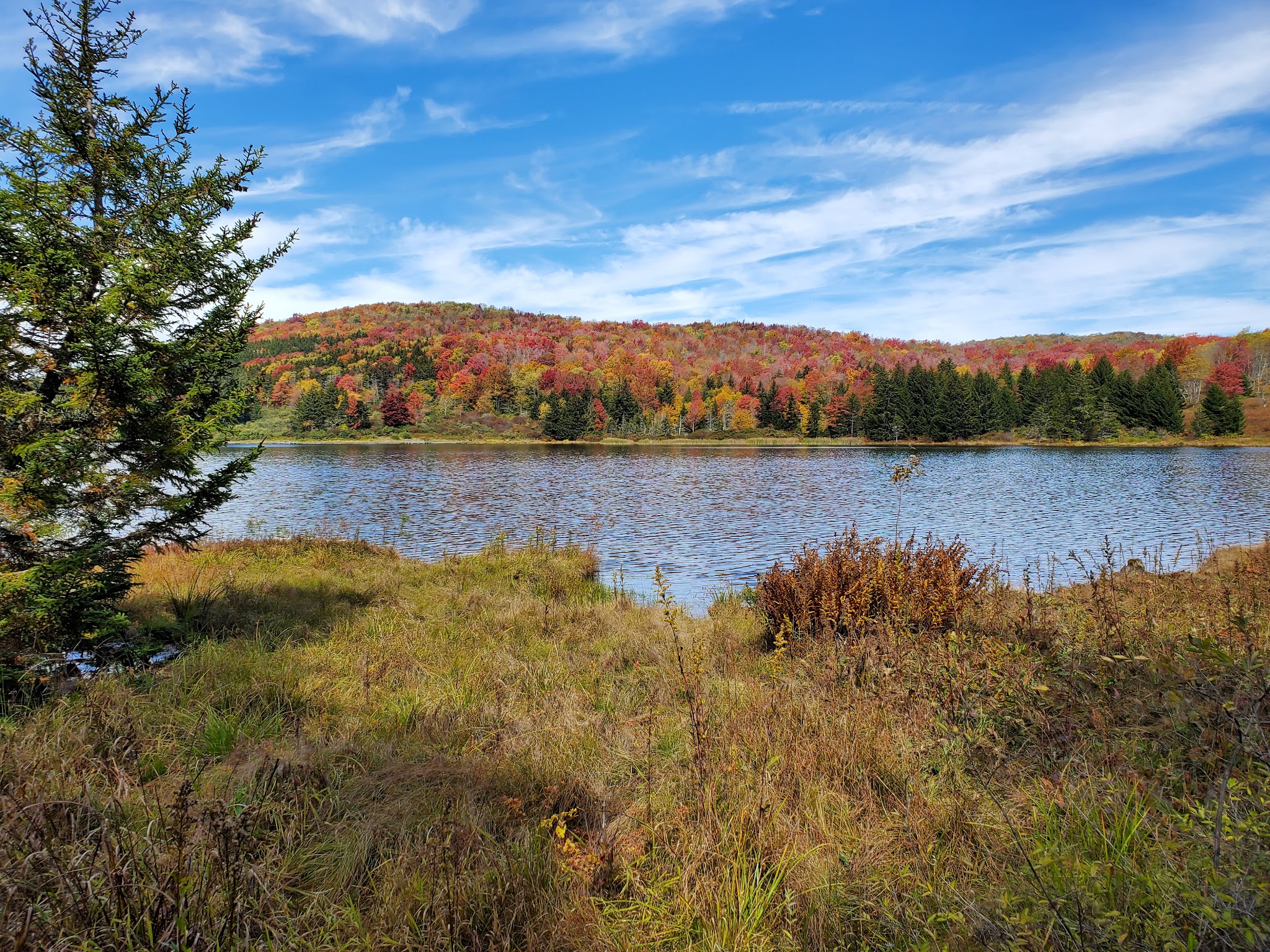 Spruce Knob Lake Campground