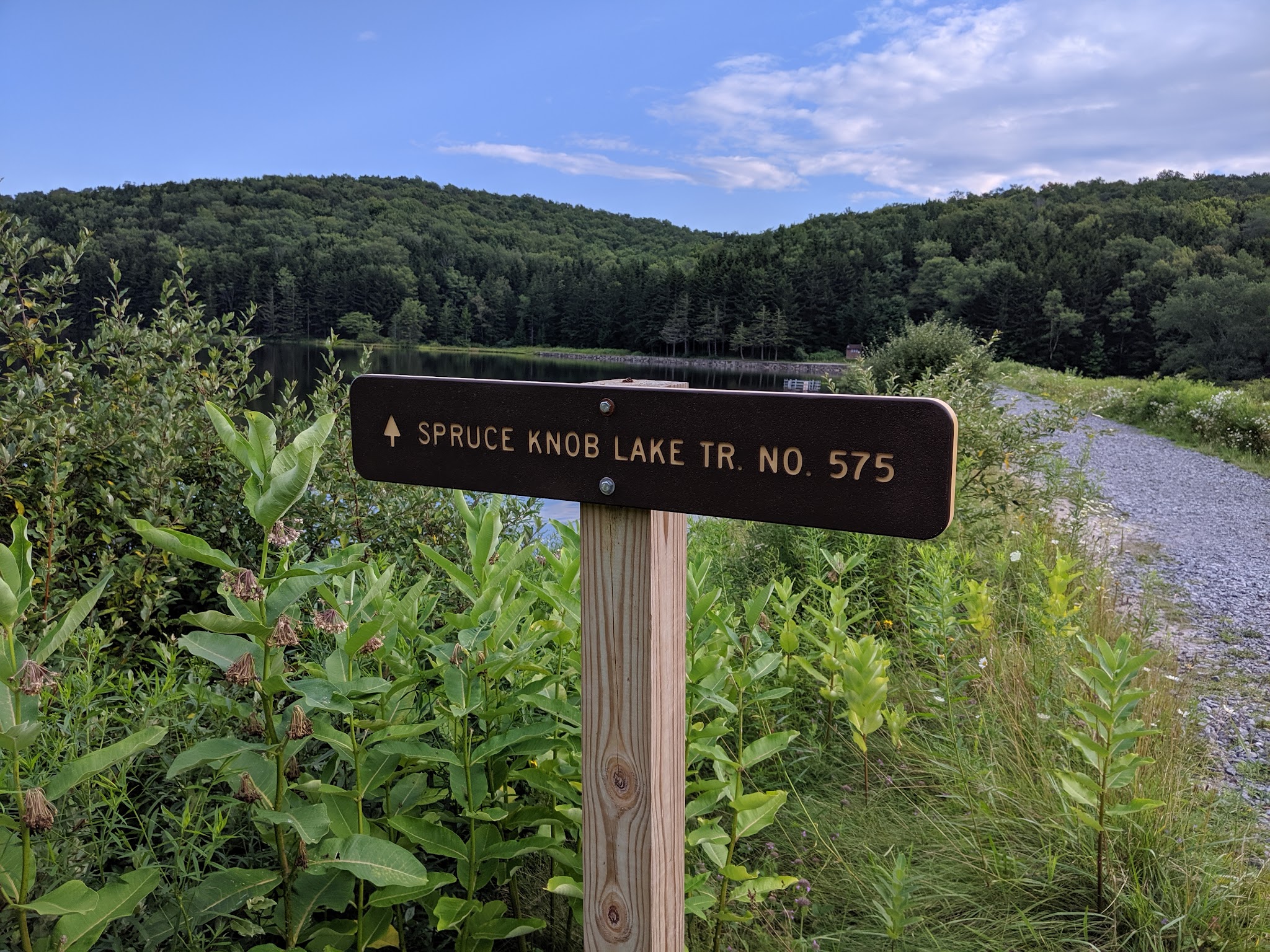 Spruce Knob Lake Campground