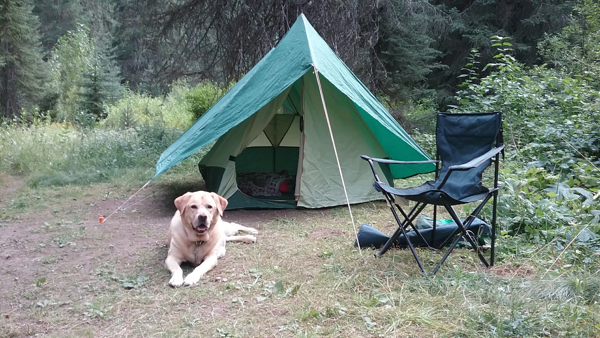 Spruce Tree Campground