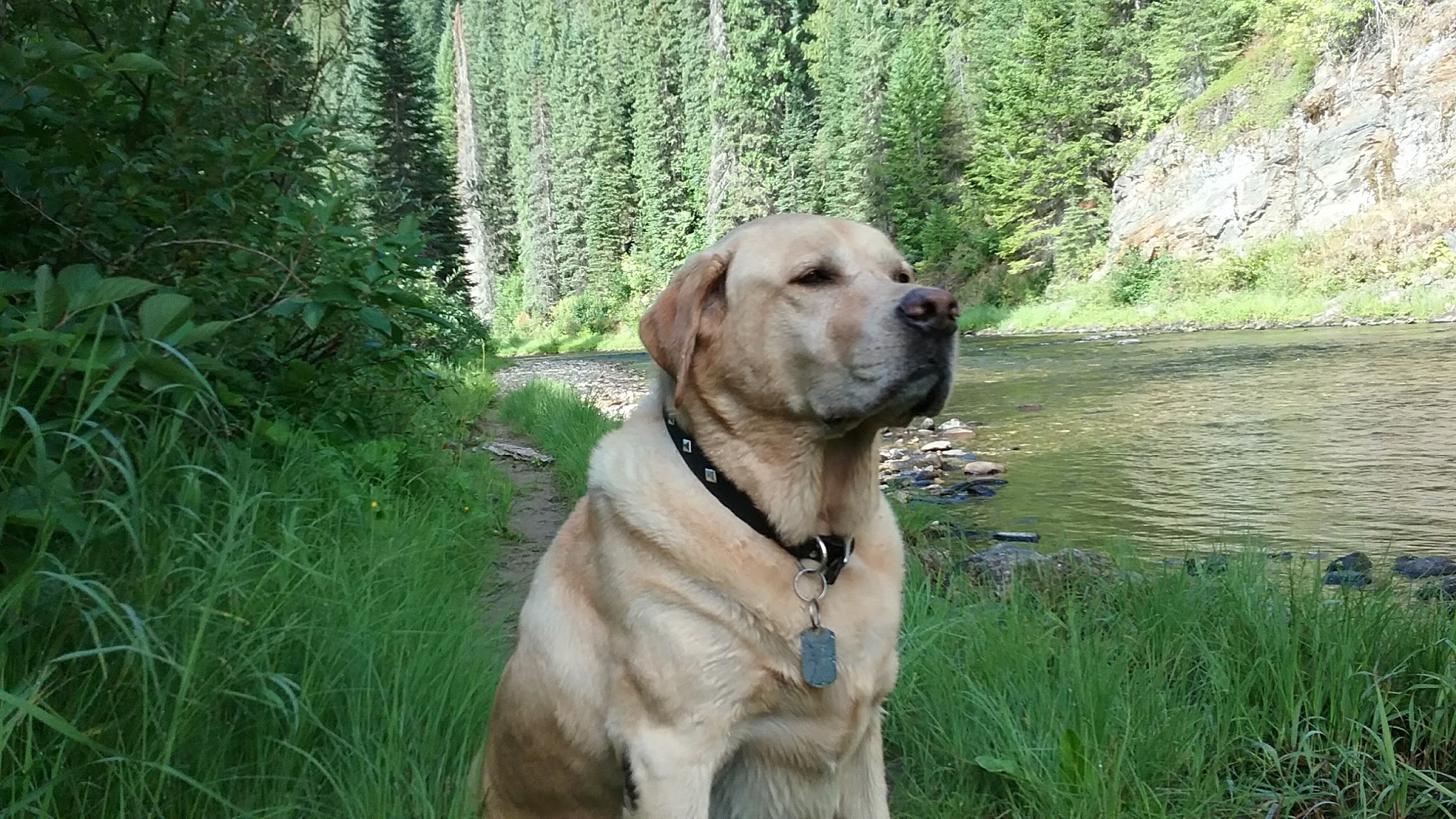 Spruce Tree Campground