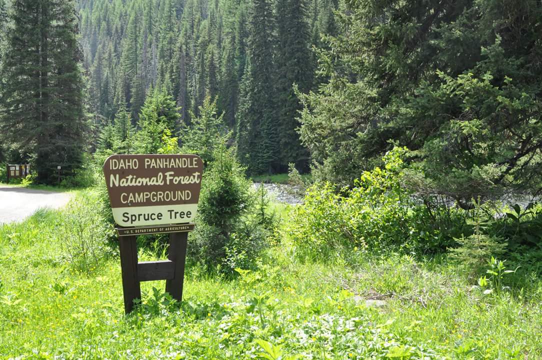 Spruce Tree Campground