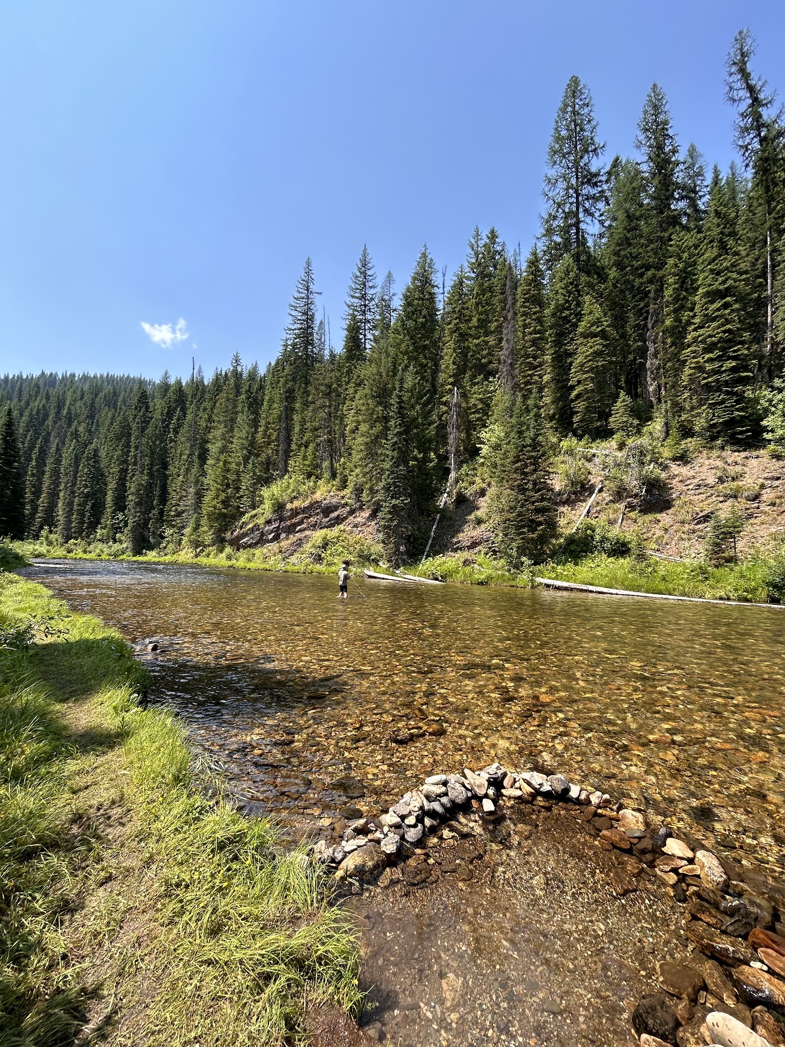 Spruce Tree Campground