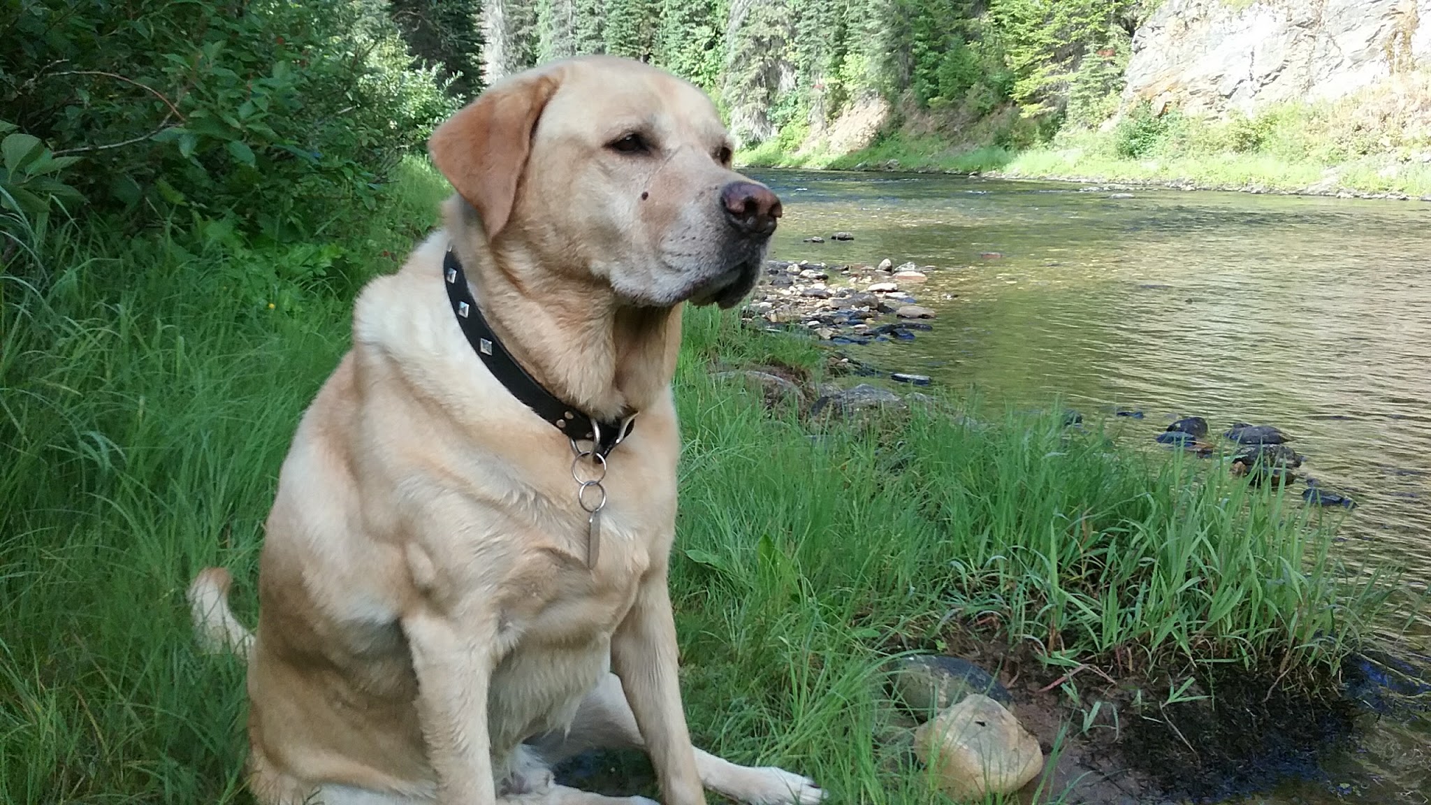 Spruce Tree Campground