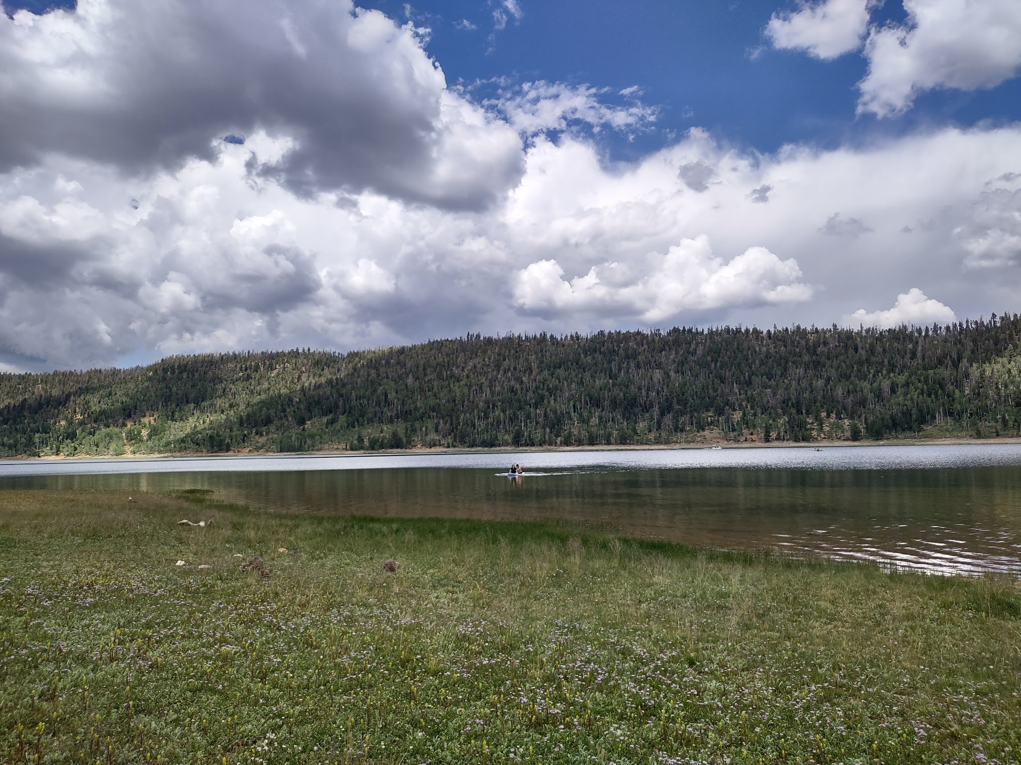 Spruces Campground (Dixie Nf)