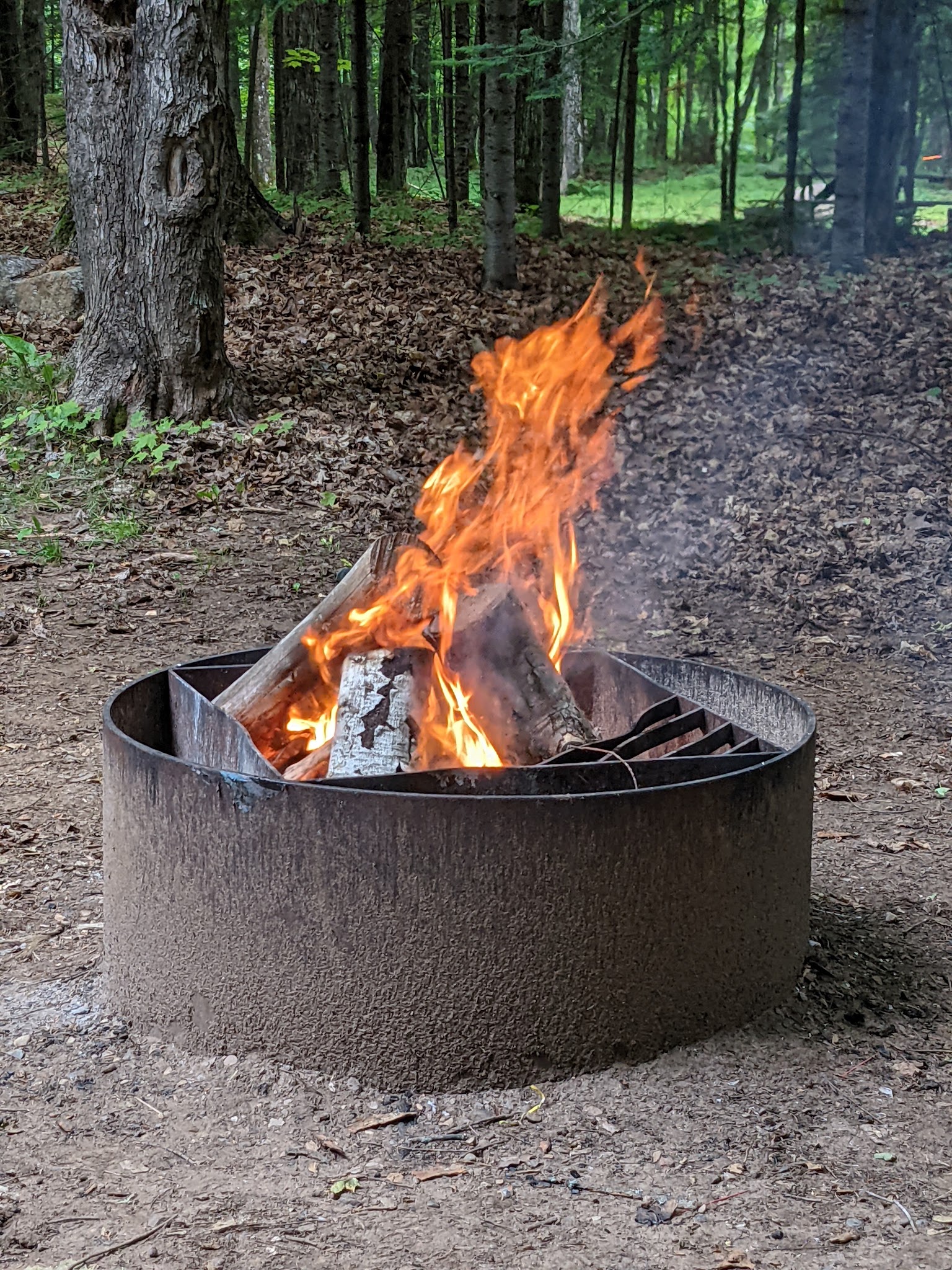 Ski-Kwe Zaag’Igan State Forest Campground